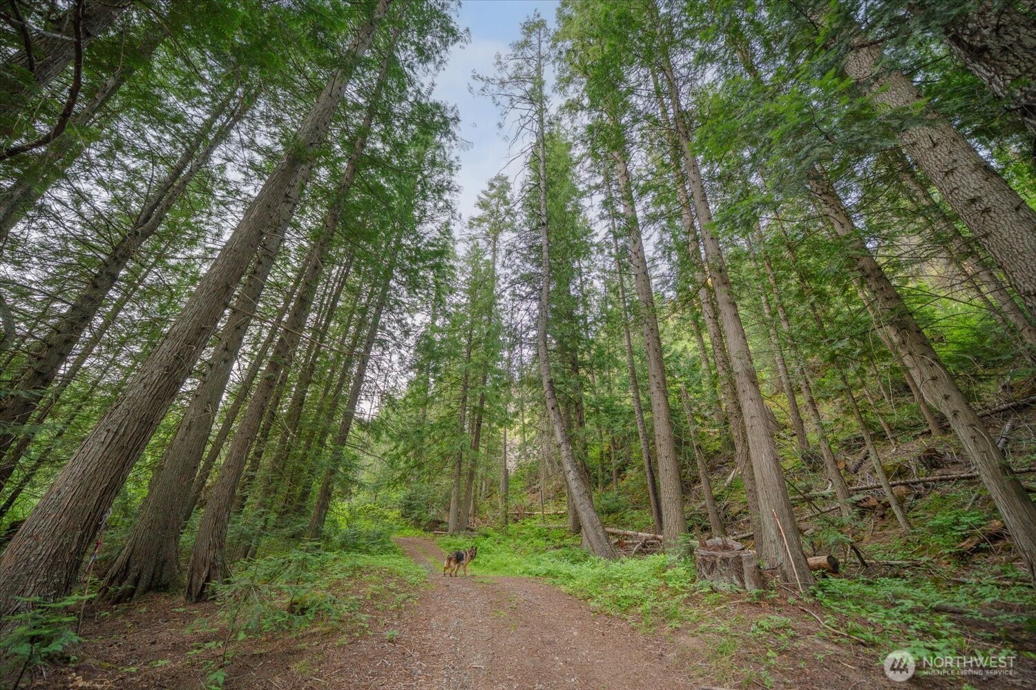 822 Little Spokane River Road Property Photo 40