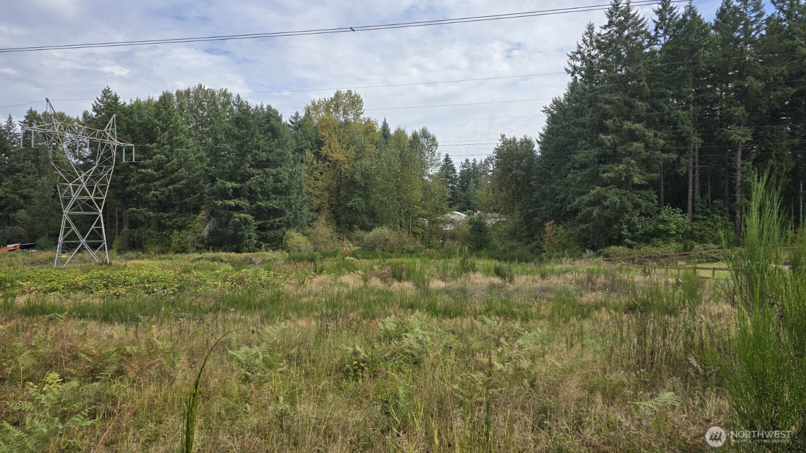30420 164th Avenue Property Photo 25