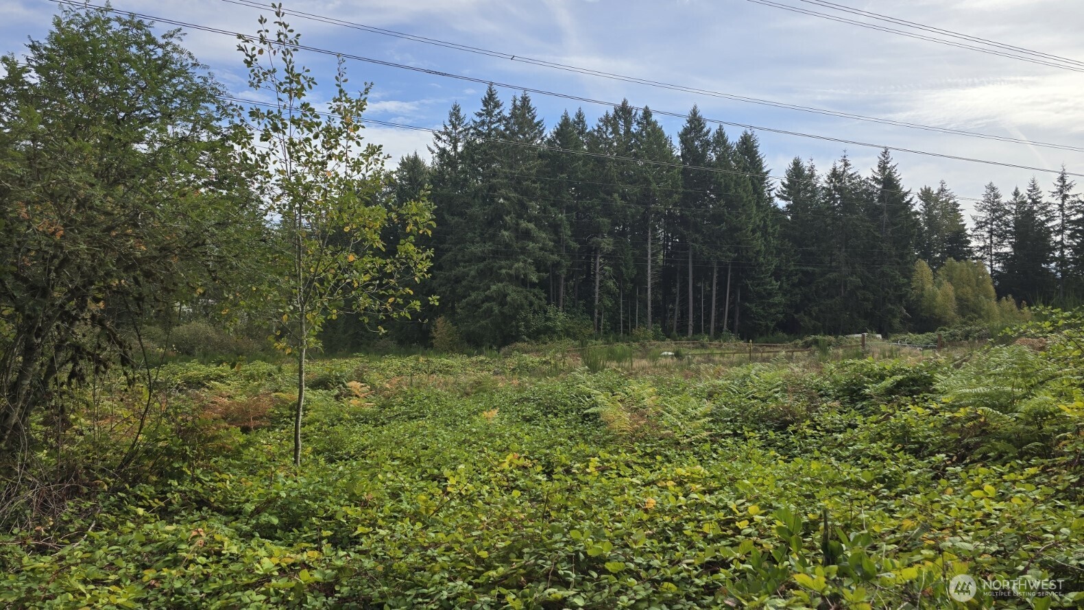 30420 164th Avenue Property Photo 36