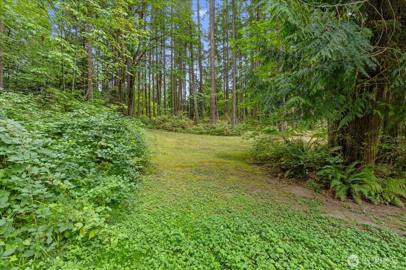 0 Tbd Ne Union Hill Road Property Photo 8