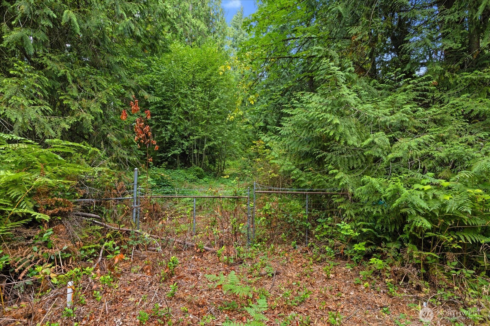0 Tbd Ne Union Hill Road Property Photo 9