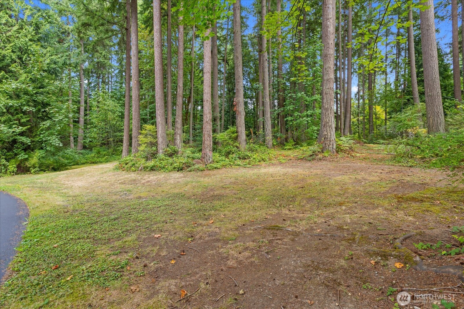 0 Tbd Ne Union Hill Road Property Photo 10