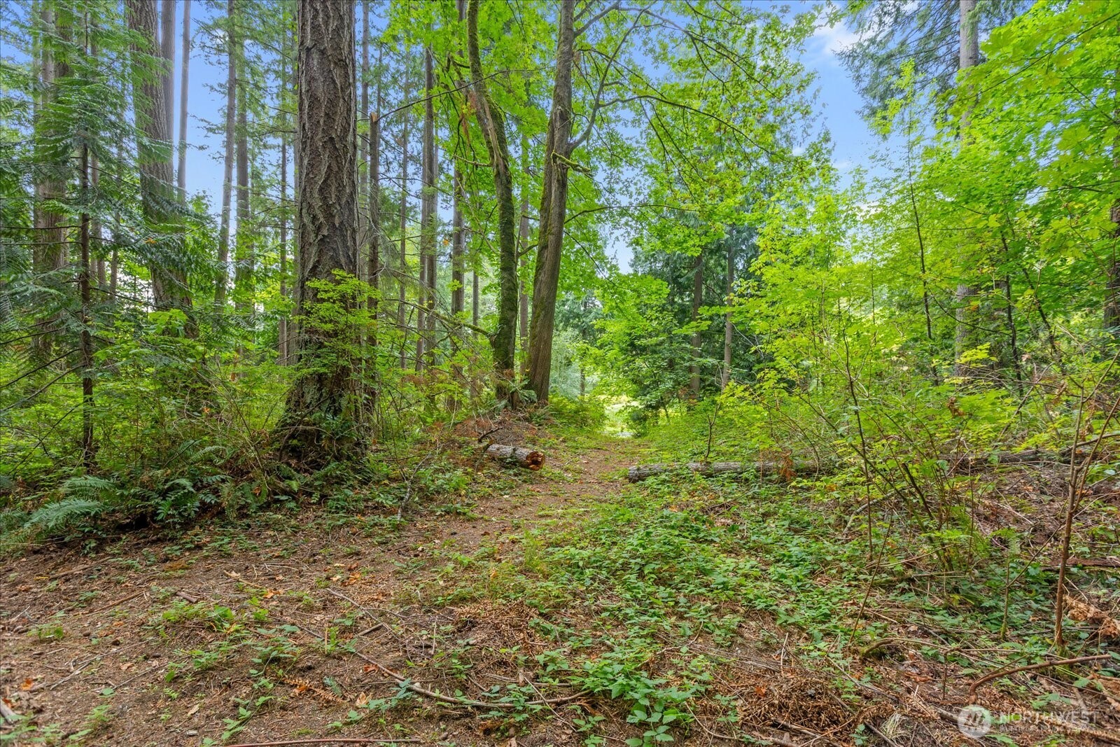 0 Tbd Ne Union Hill Road Property Photo 12