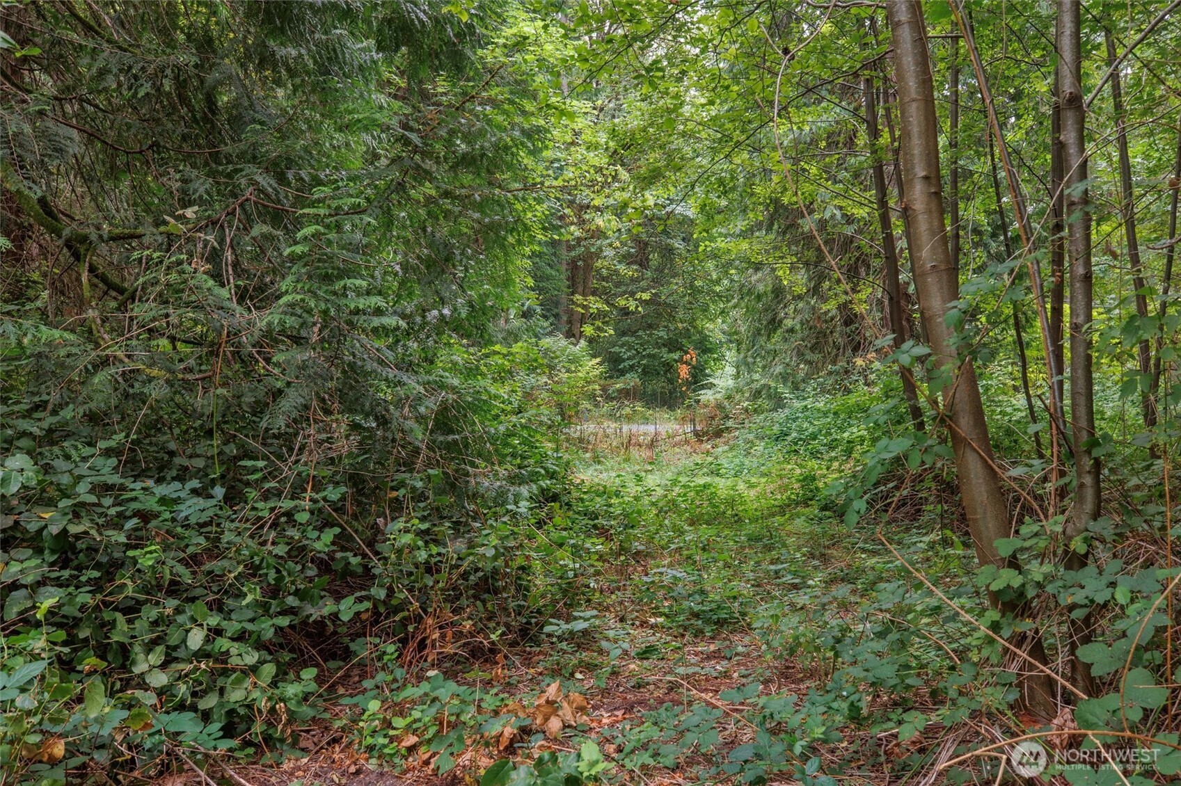 0 Tbd Ne Union Hill Road Property Photo 14