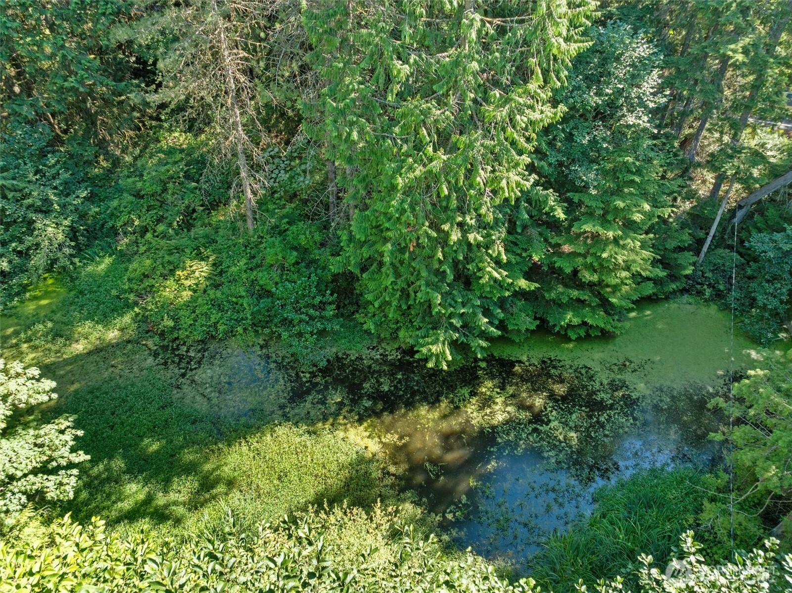 0 Tbd Ne Union Hill Road Property Photo 15