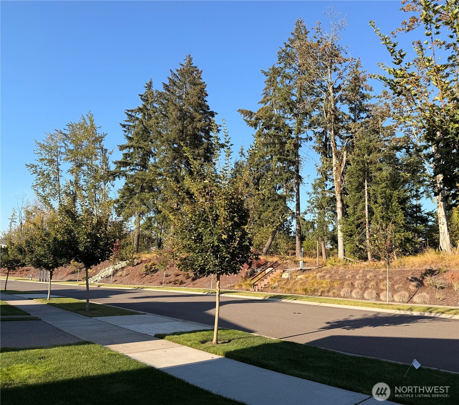 15412 Paradise Ridge Property Photo 34
