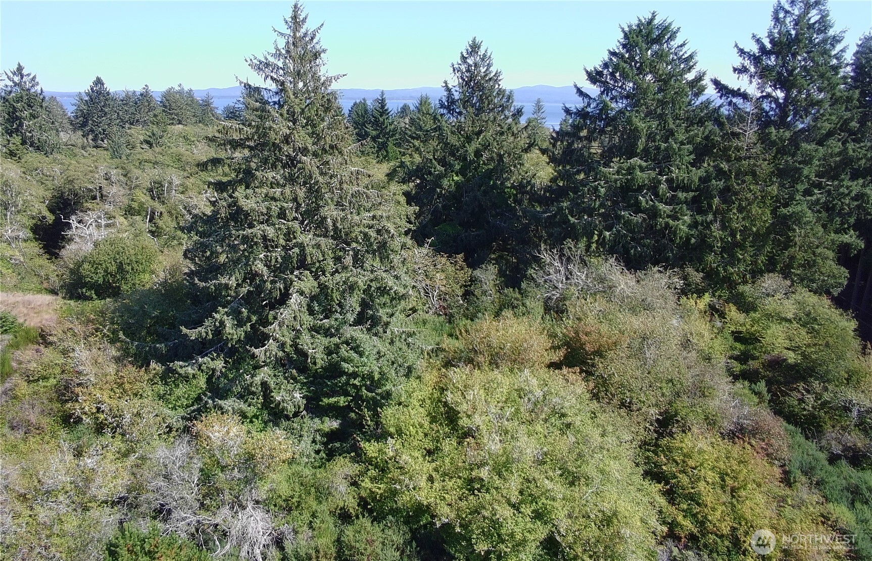 0 Oysterville Road Property Photo 1