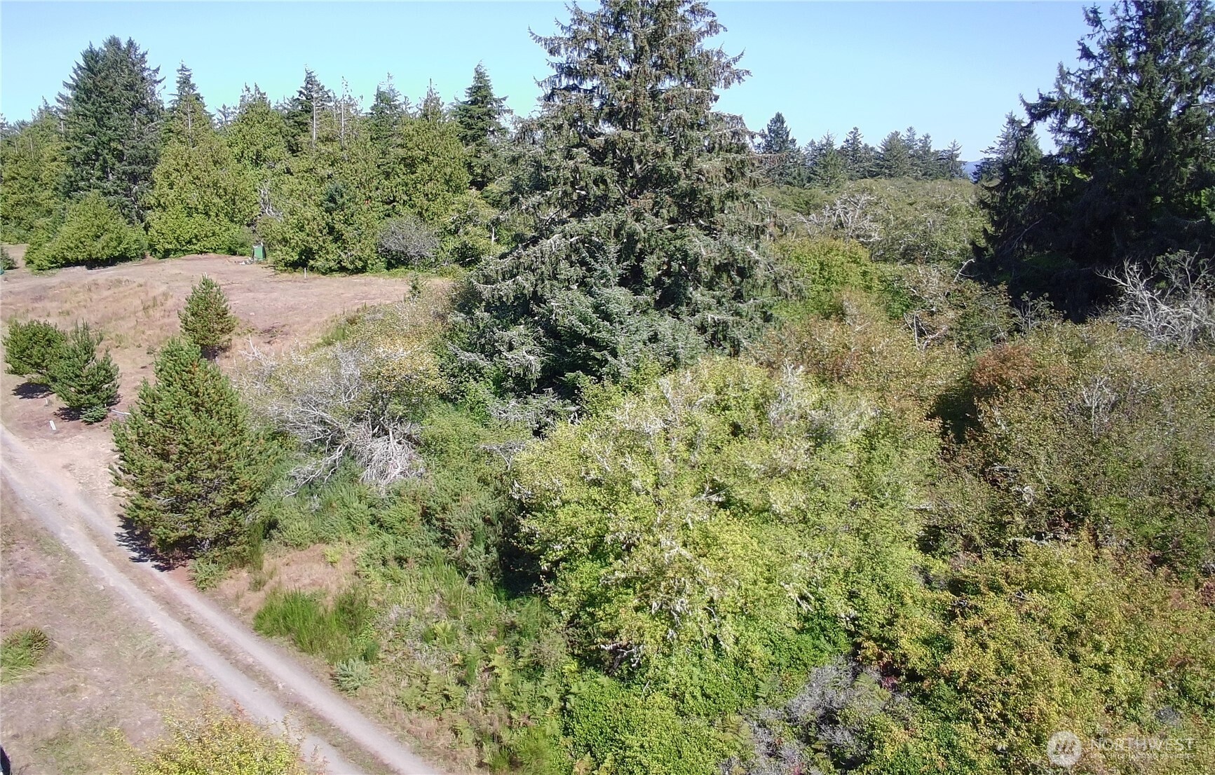 0 Oysterville Road Property Photo 2