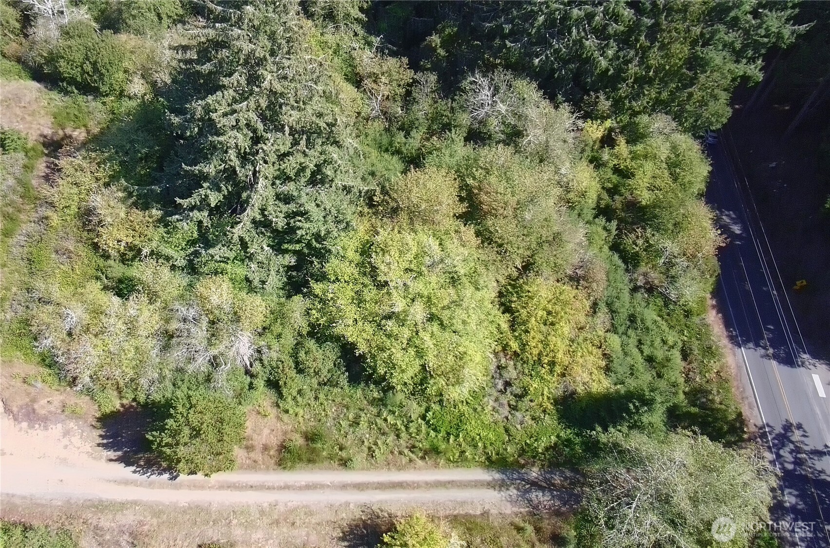 0 Oysterville Road Property Photo 3