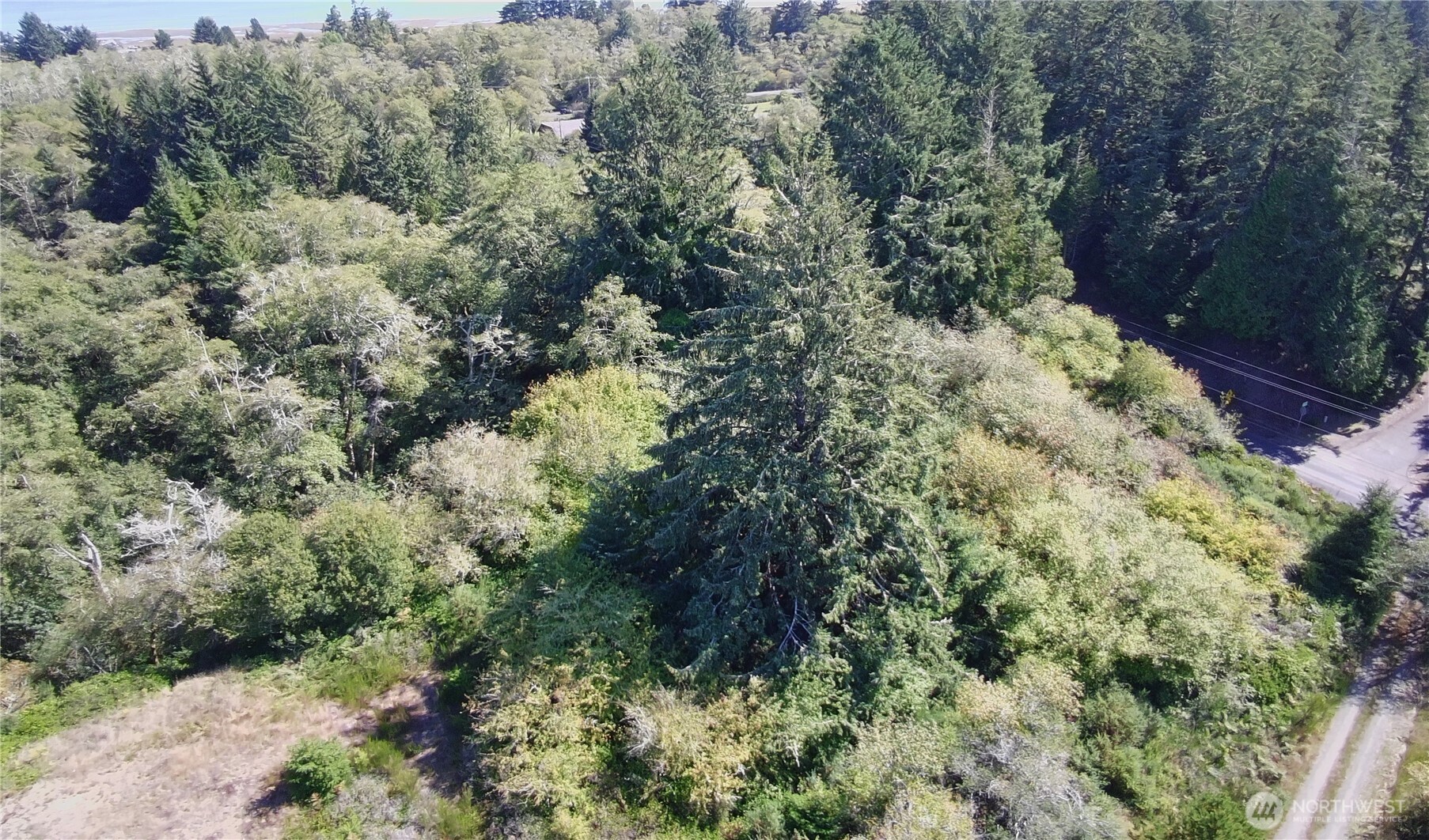 0 Oysterville Road Property Photo 6