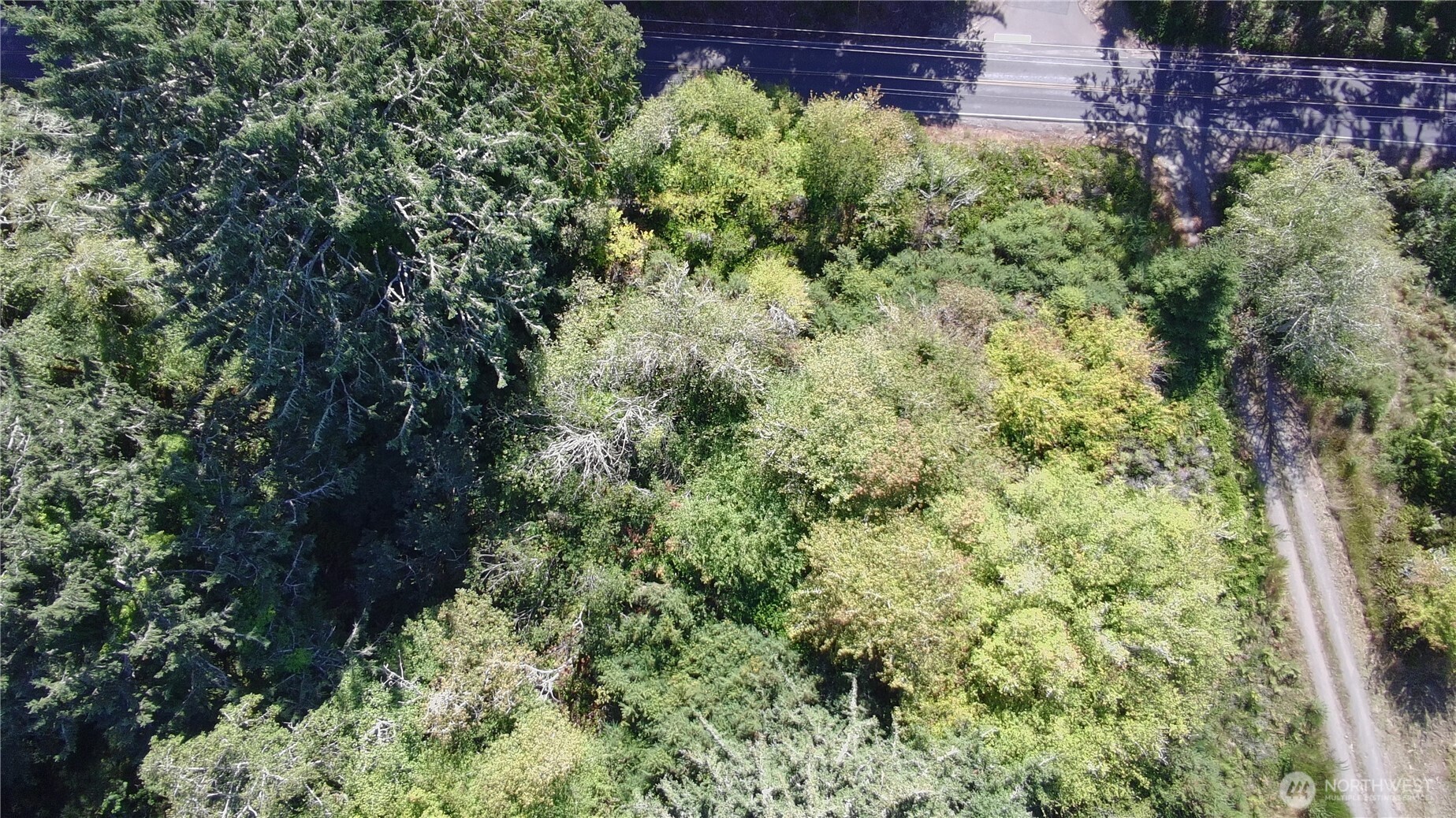 0 Oysterville Road Property Photo 7