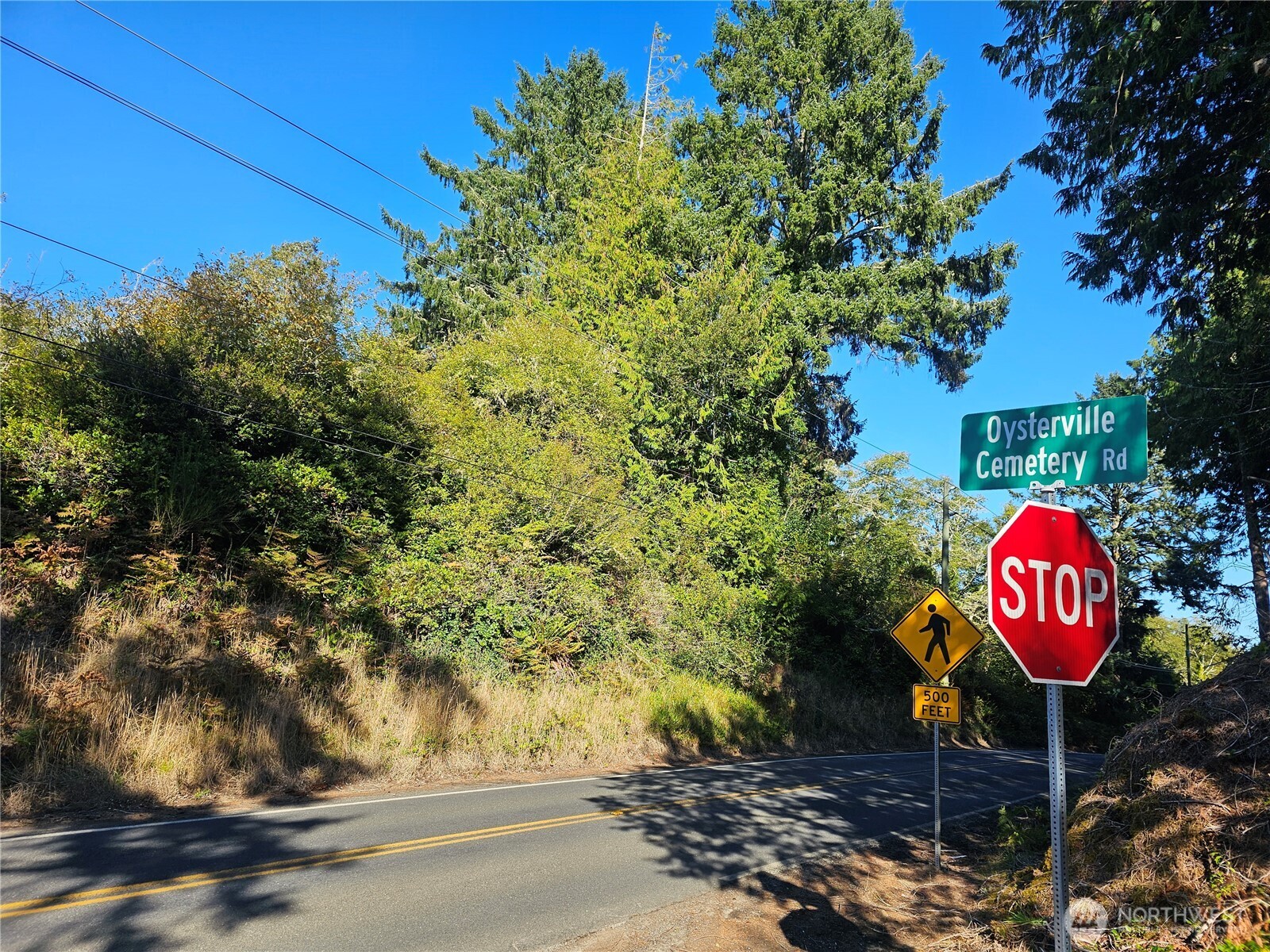 0 Oysterville Road Property Photo 8