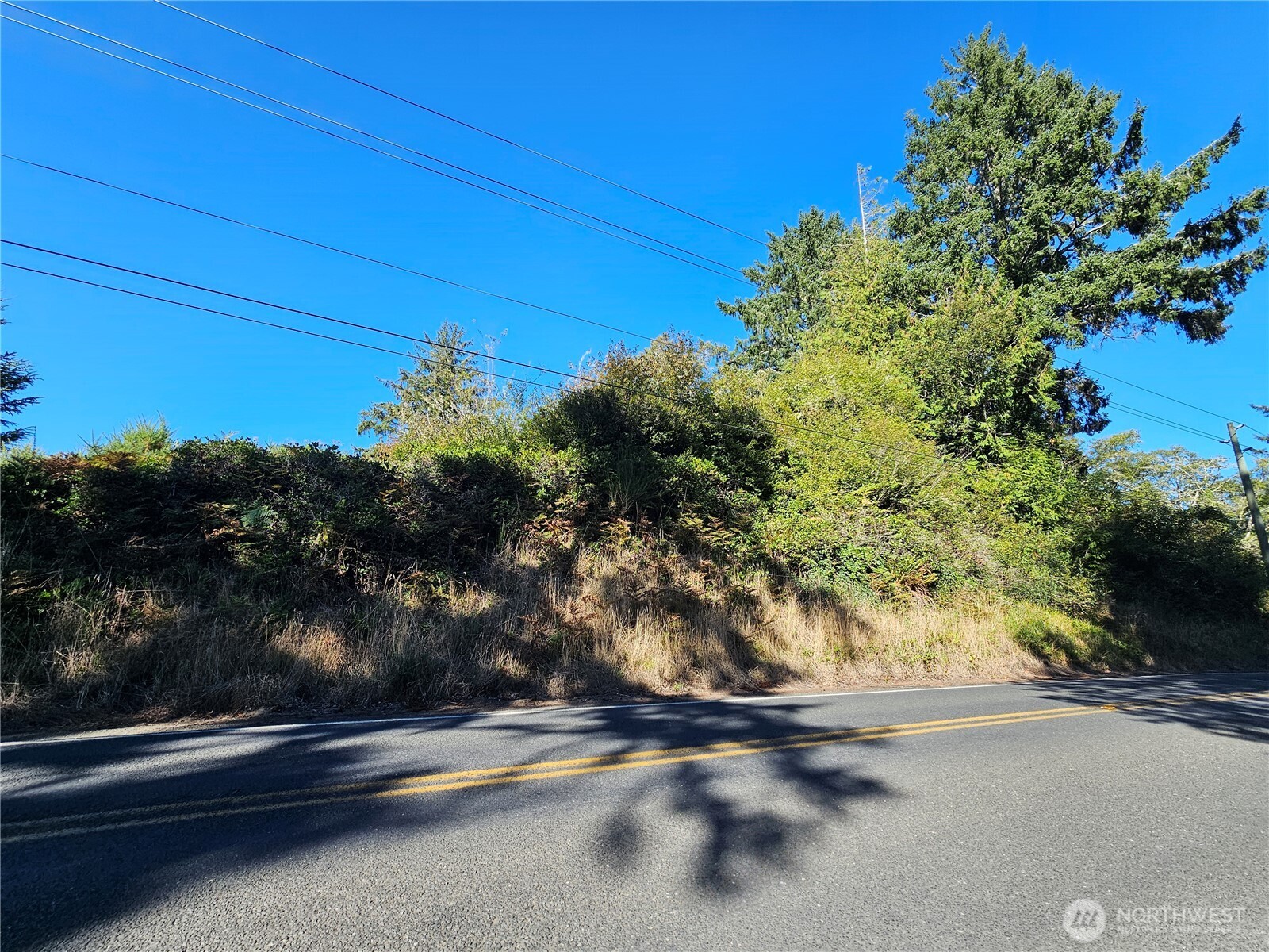 0 Oysterville Road Property Photo 9