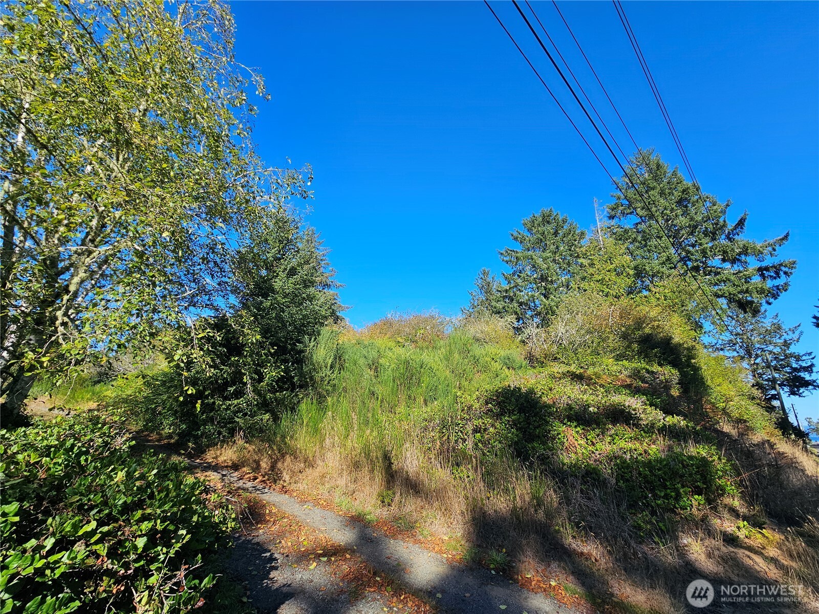 0 Oysterville Road Property Photo 10