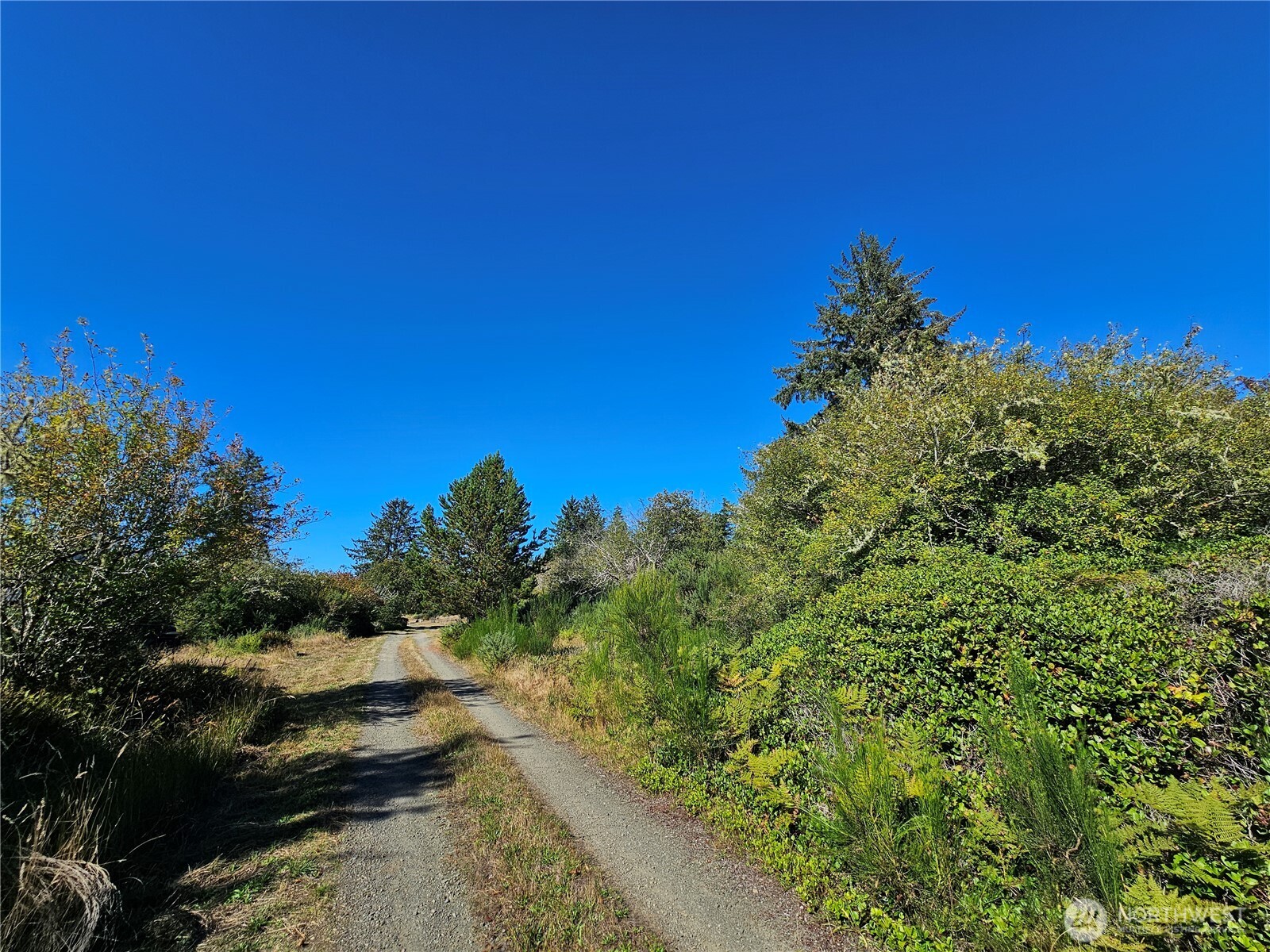 0 Oysterville Road Property Photo 11