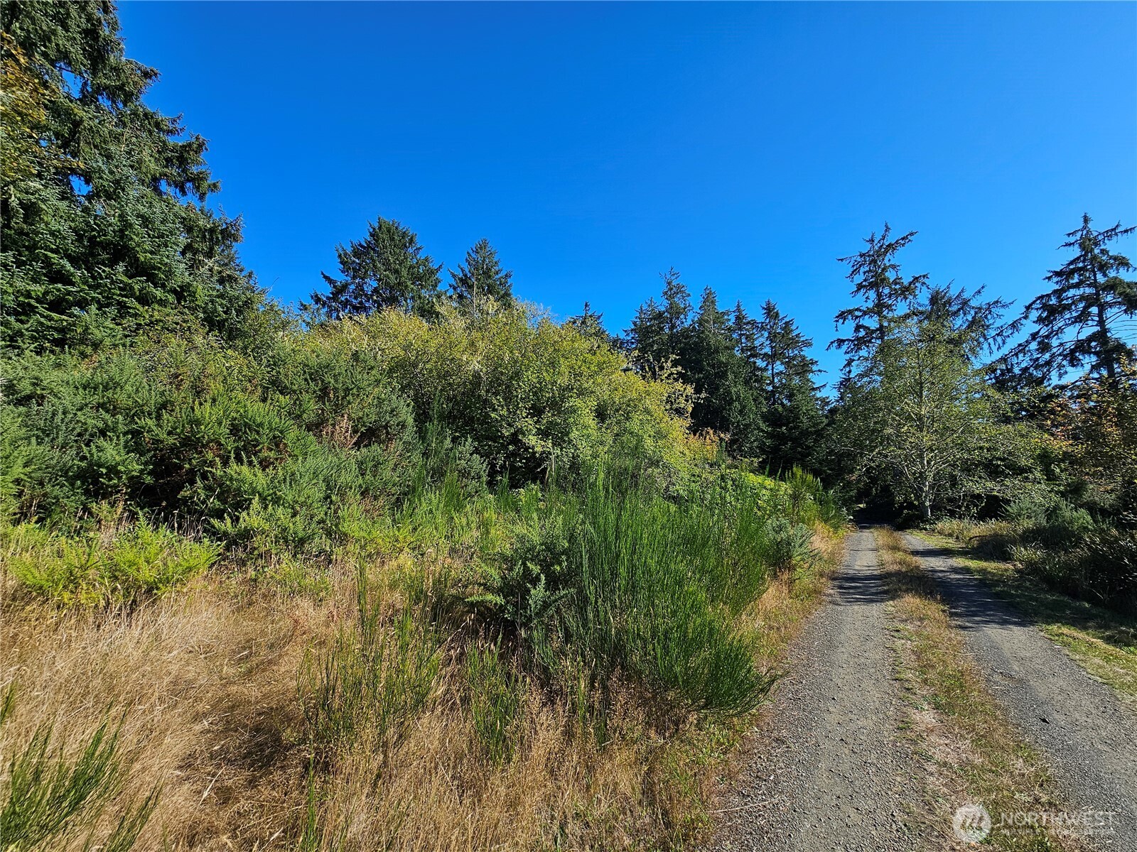 0 Oysterville Road Property Photo 12