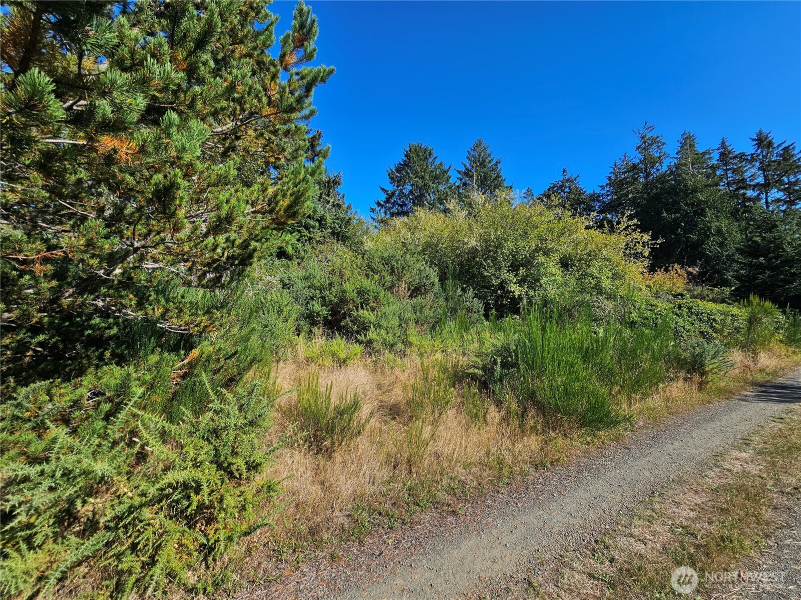 0 Oysterville Road Property Photo 13