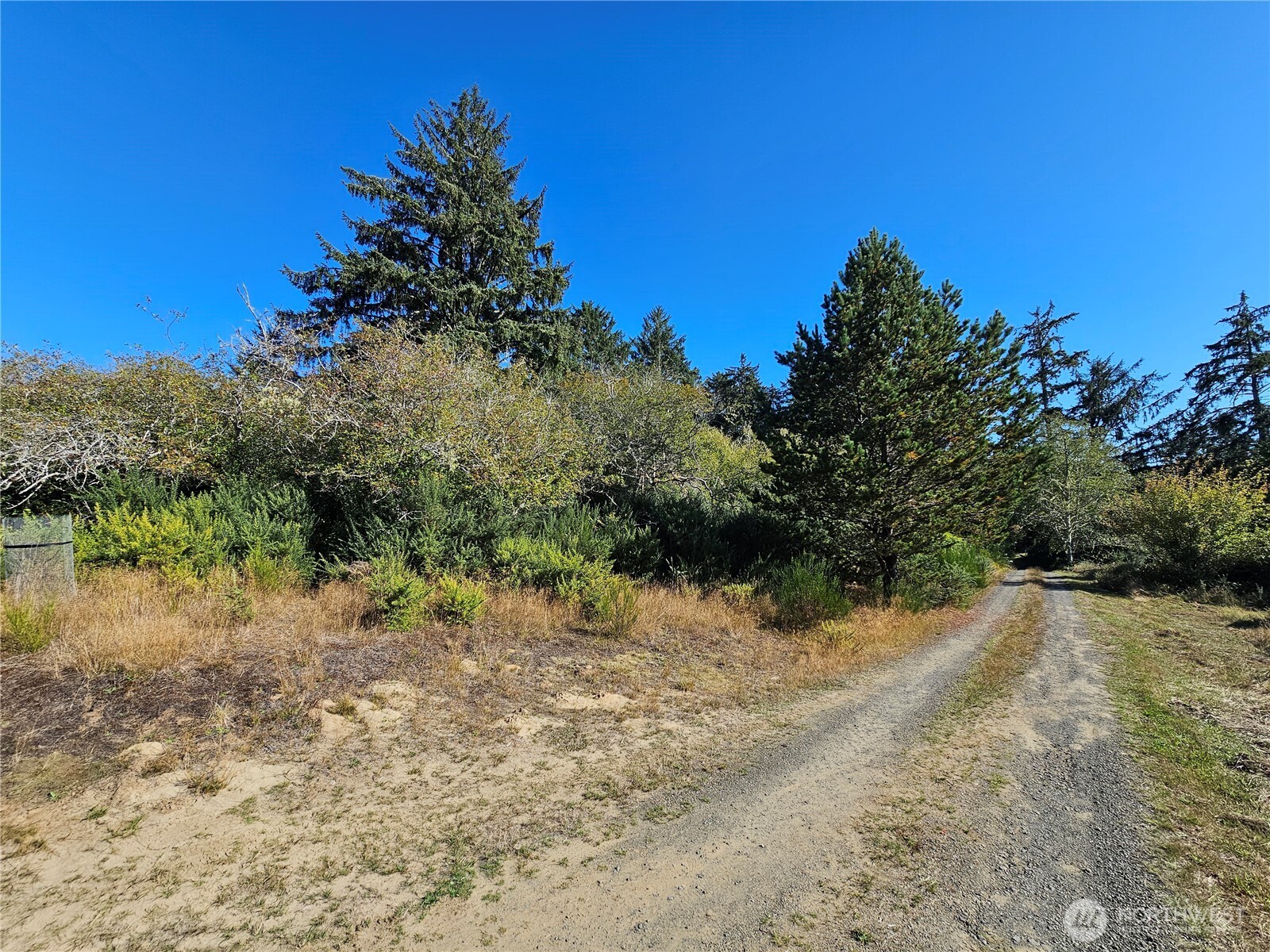 0 Oysterville Road Property Photo 14