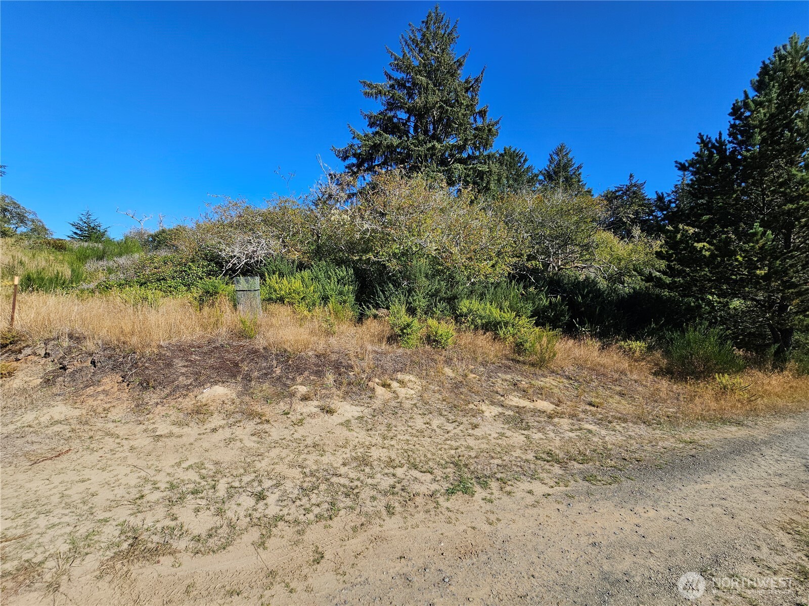 0 Oysterville Road Property Photo 15
