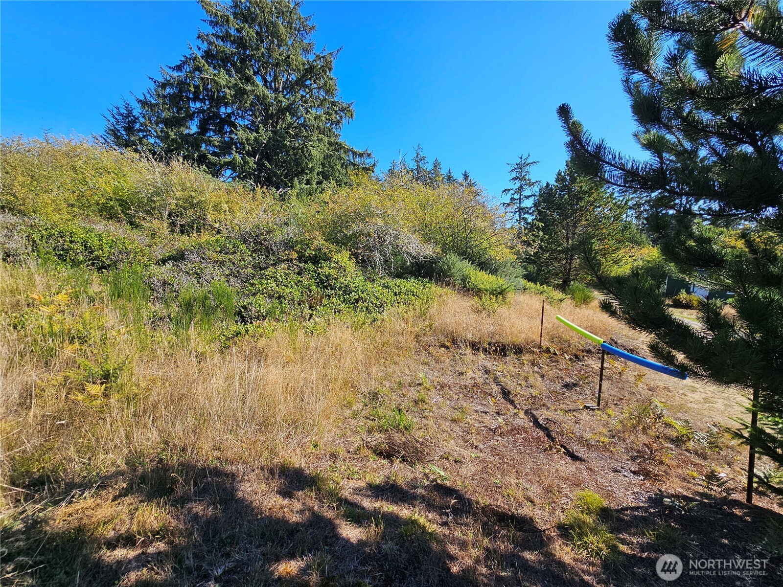 0 Oysterville Road Property Photo 16
