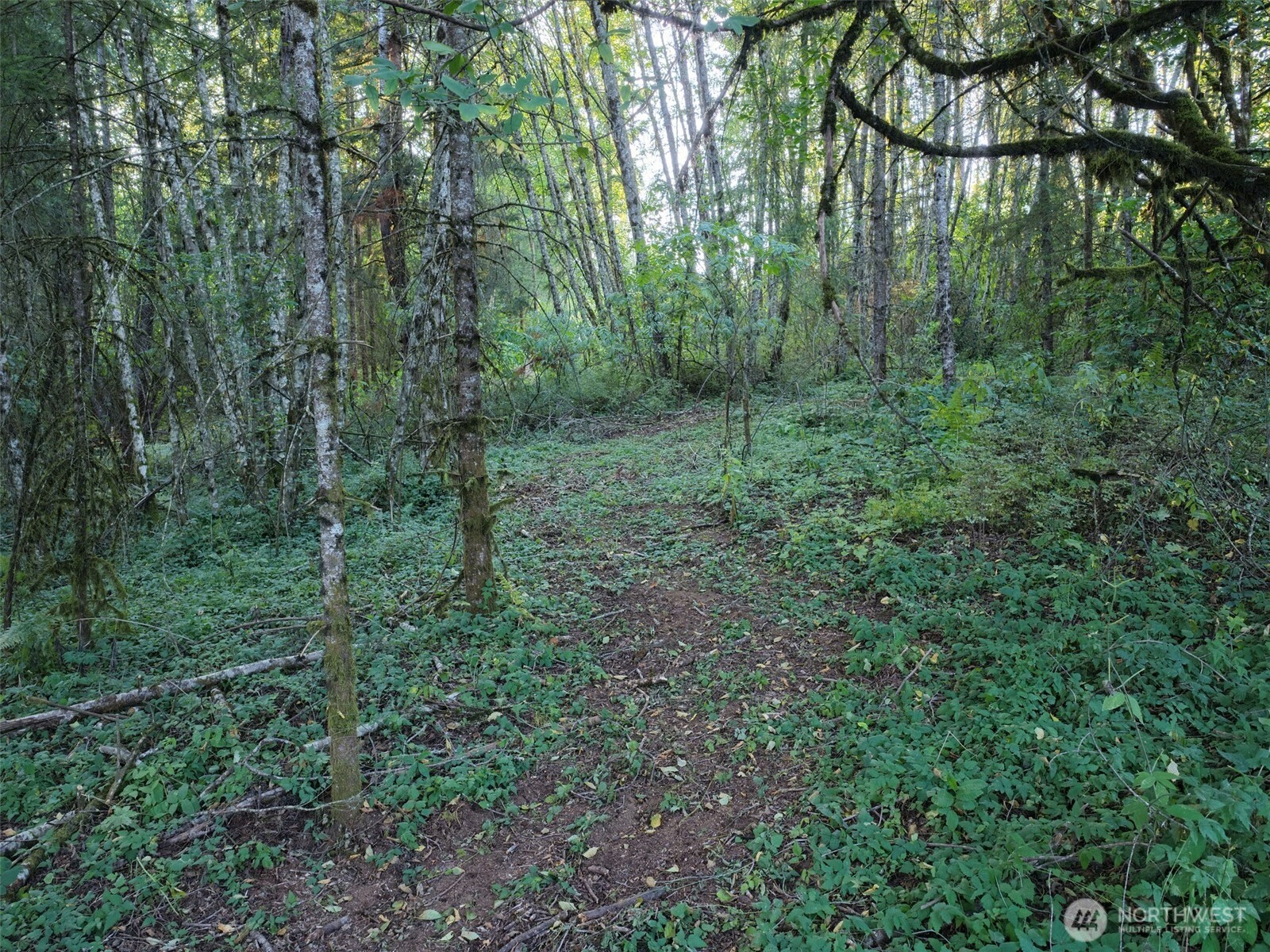 0 399th Street Property Photo 8