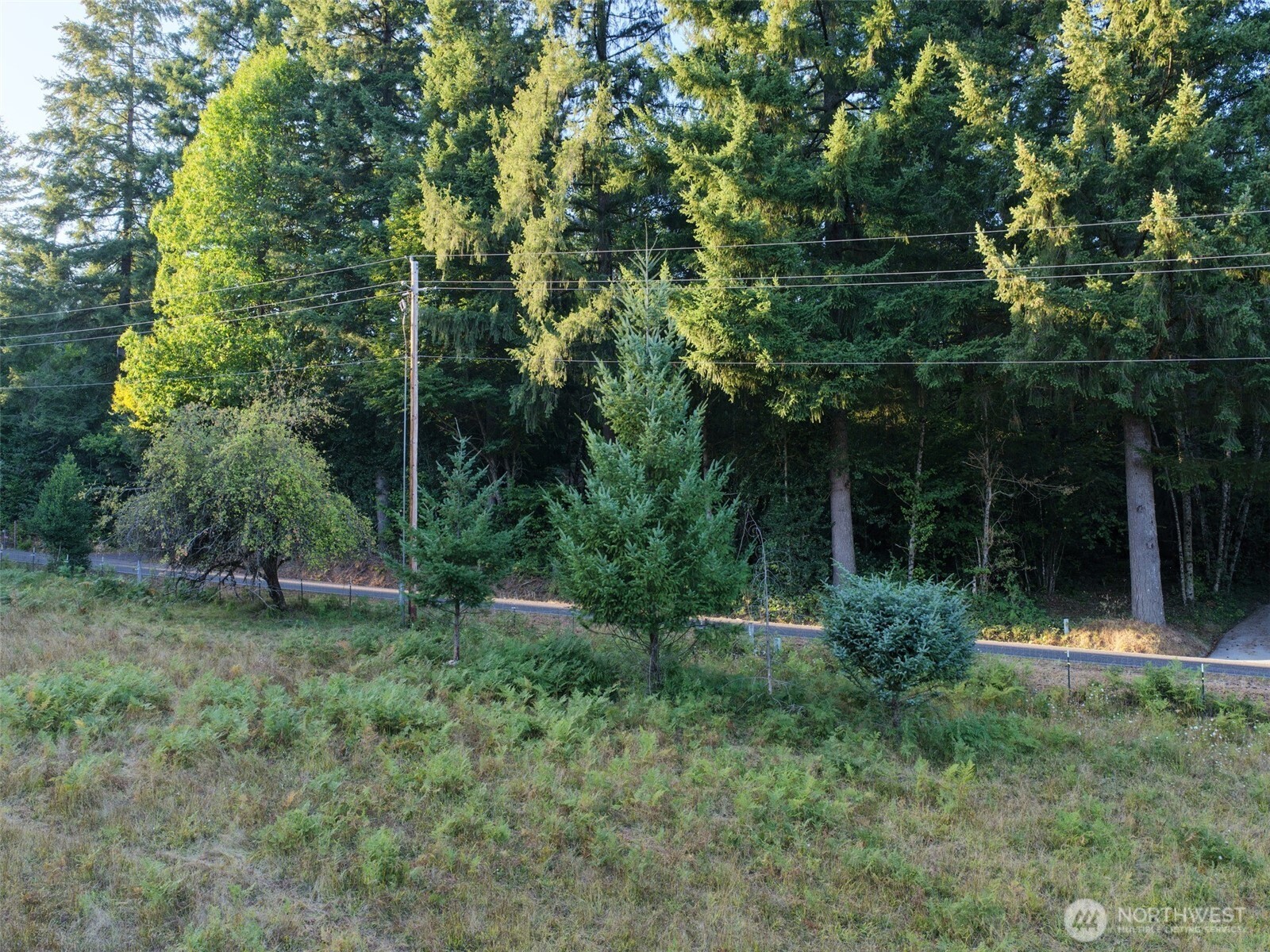0 399th Street Property Photo 10