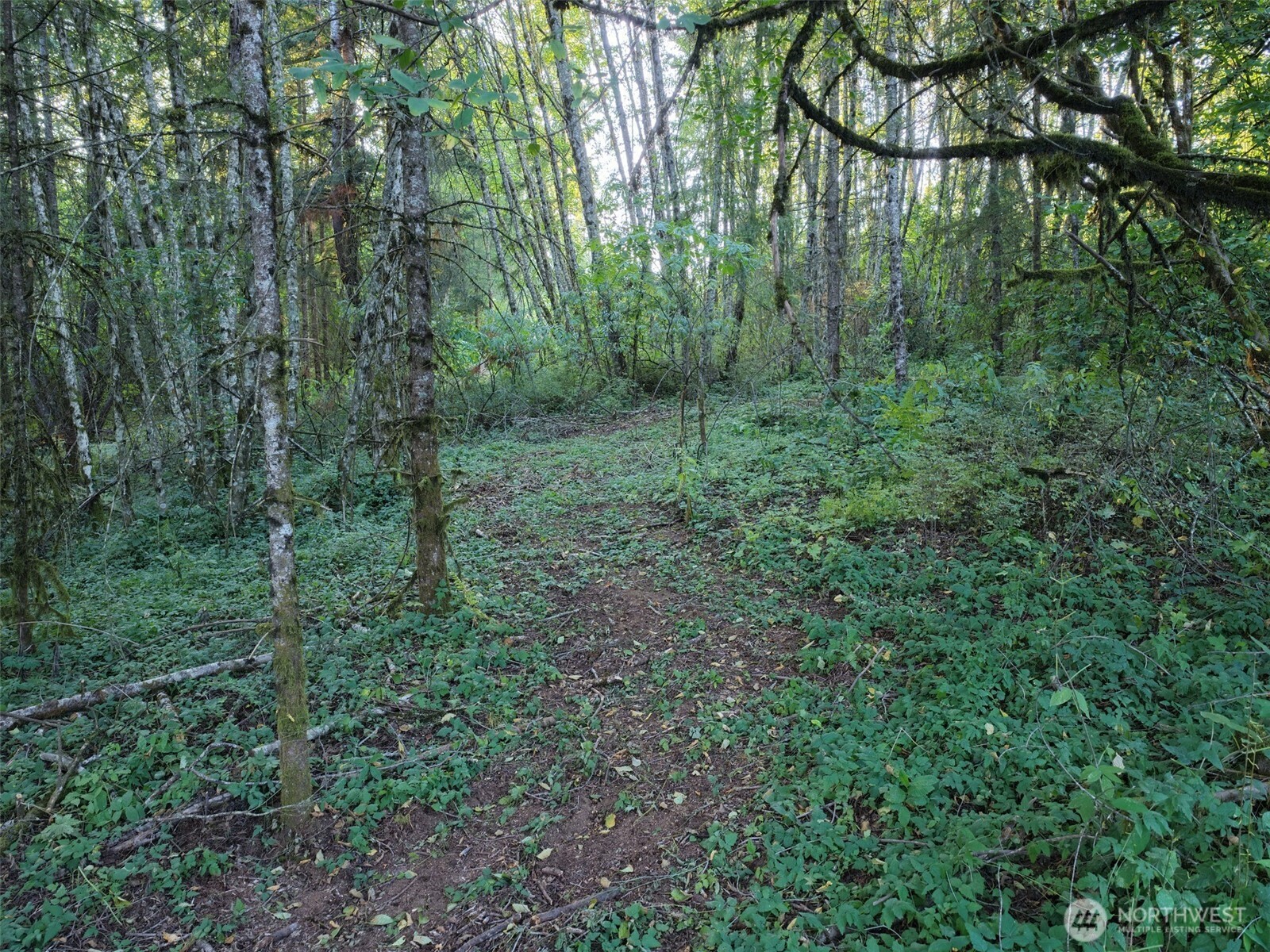 0 399th Street Property Photo 12