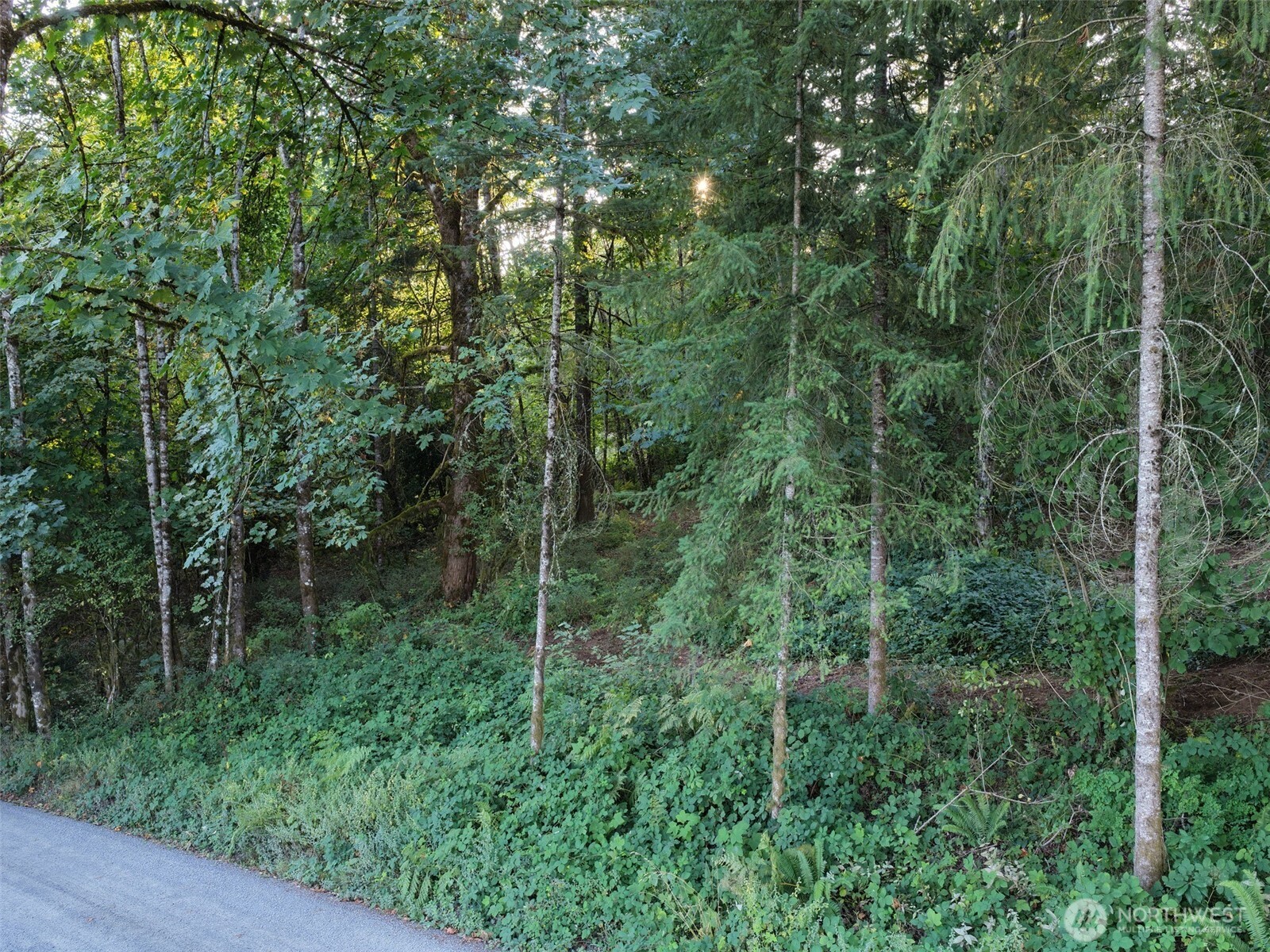 0 399th Street Property Photo 18