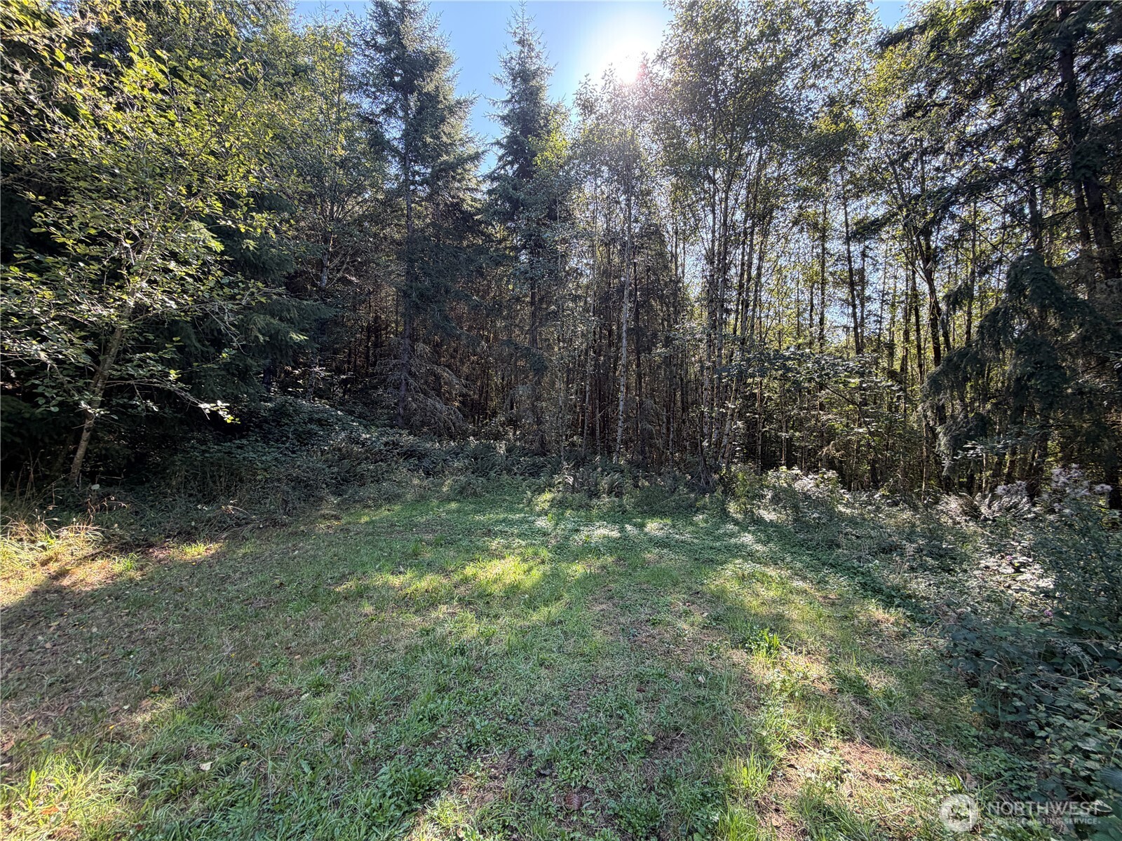 0 N Lot F Bodine Road Property Photo 1