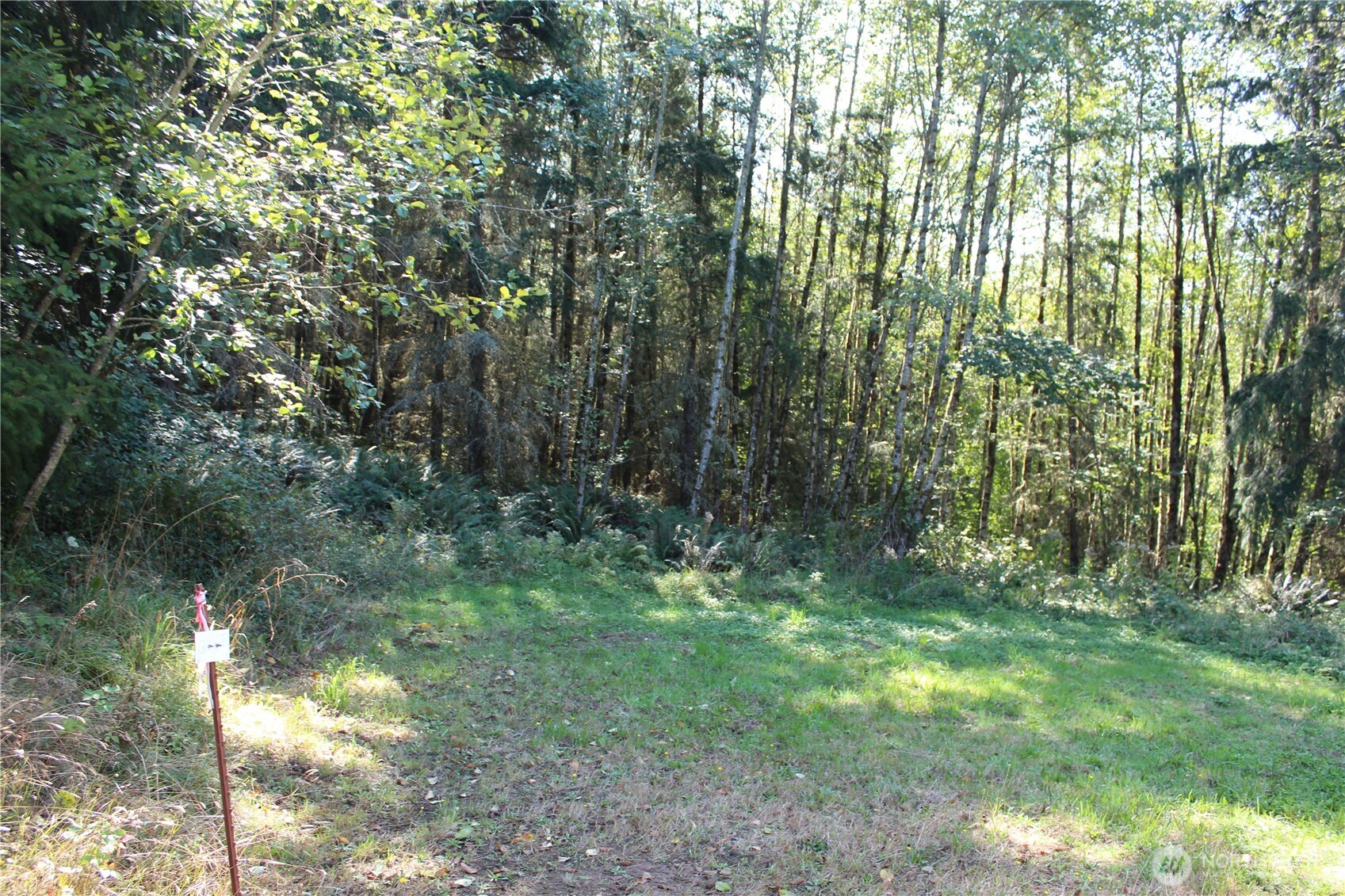0 N Lot F Bodine Road Property Photo 2