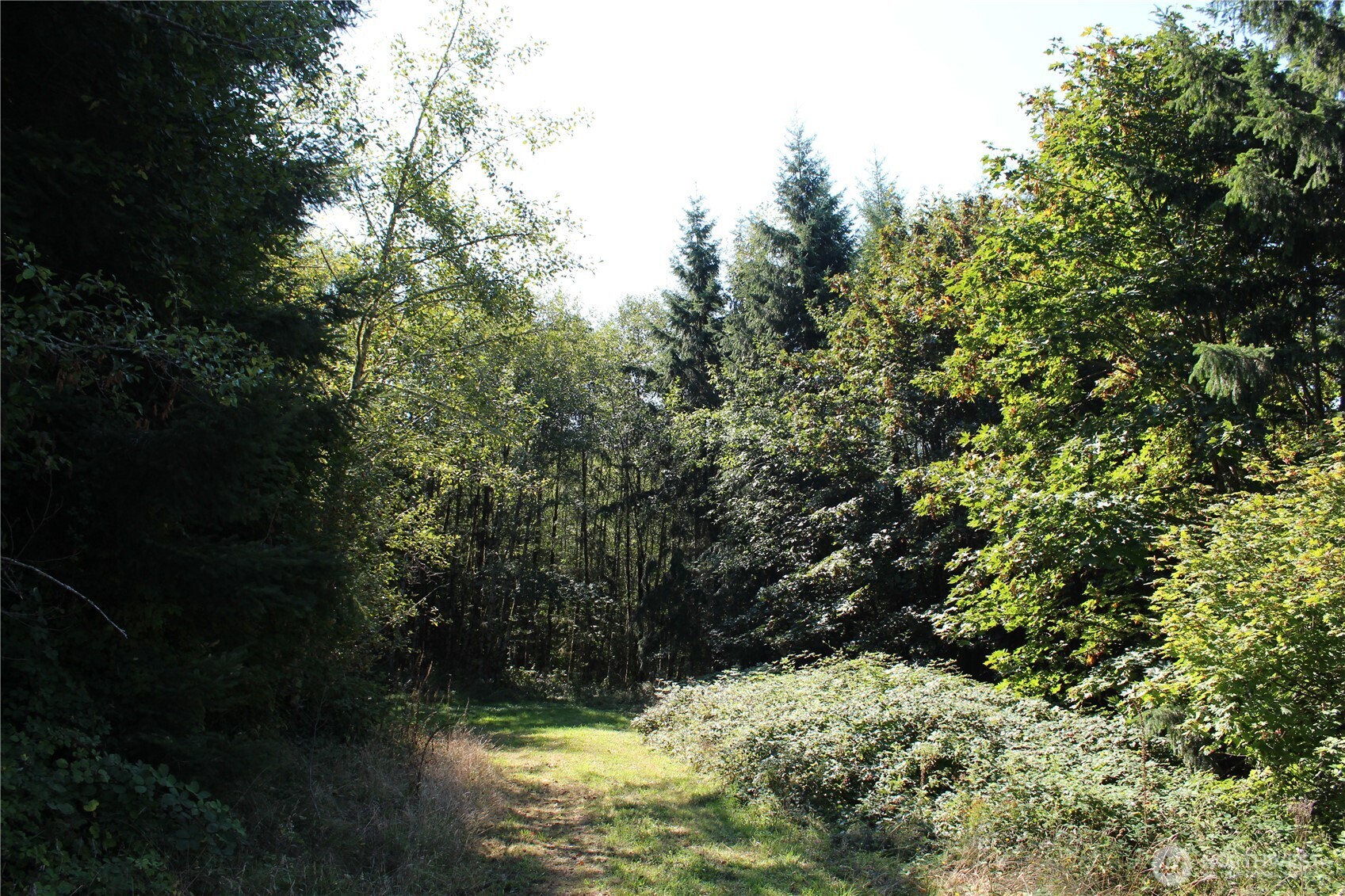 0 N Lot F Bodine Road Property Photo 3
