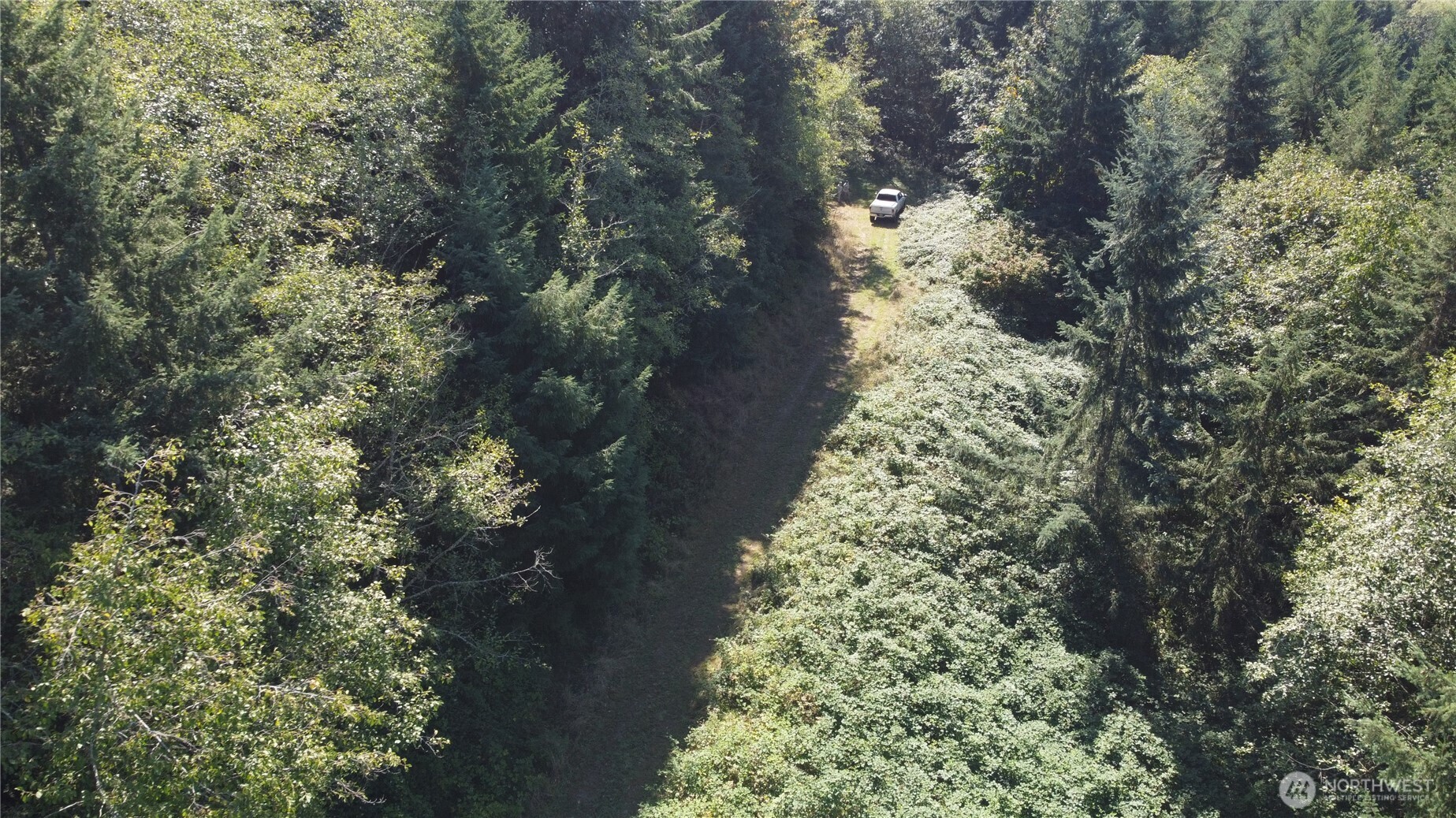 0 N Lot F Bodine Road Property Photo 4