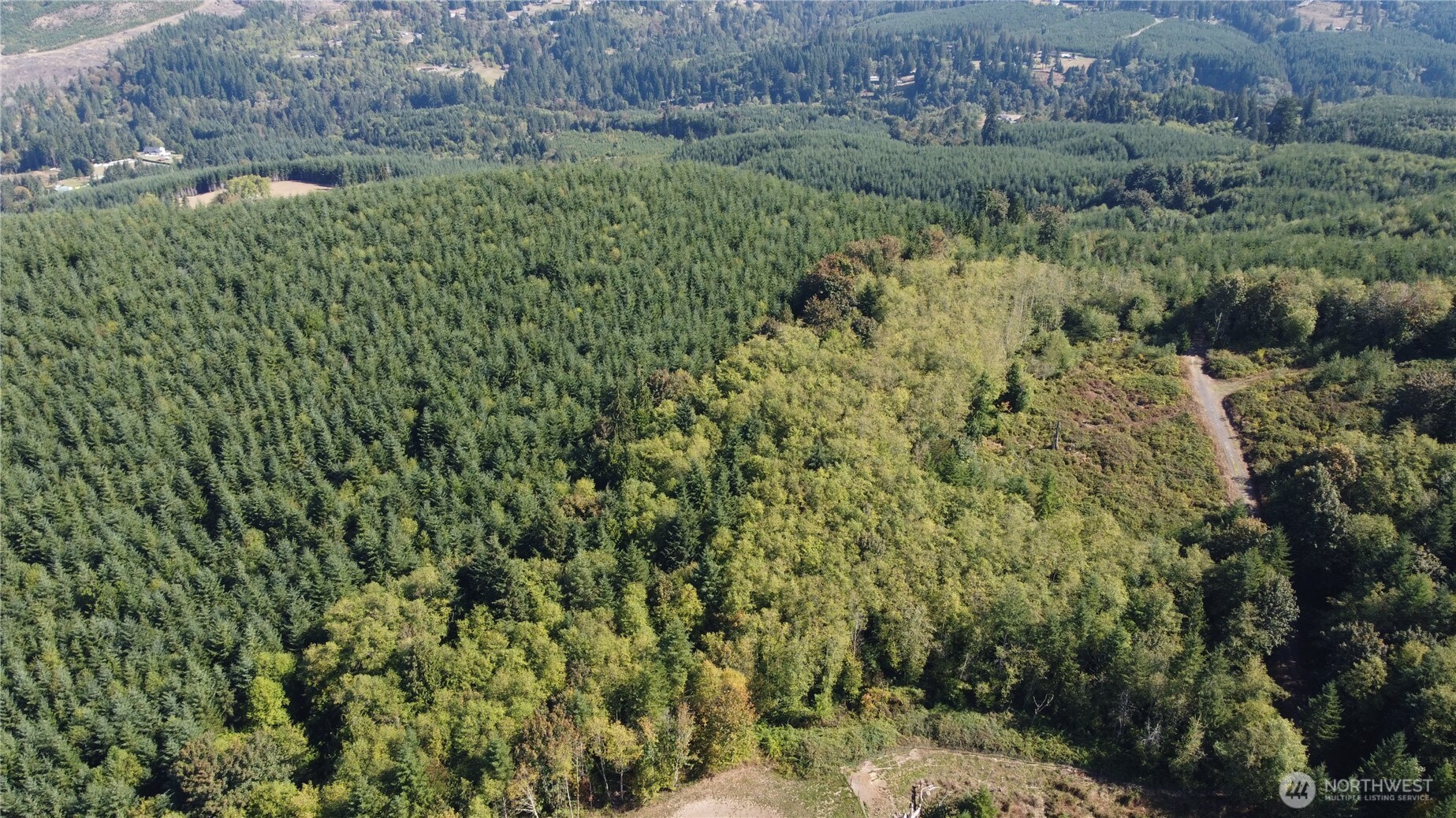 0 N Lot F Bodine Road Property Photo 8