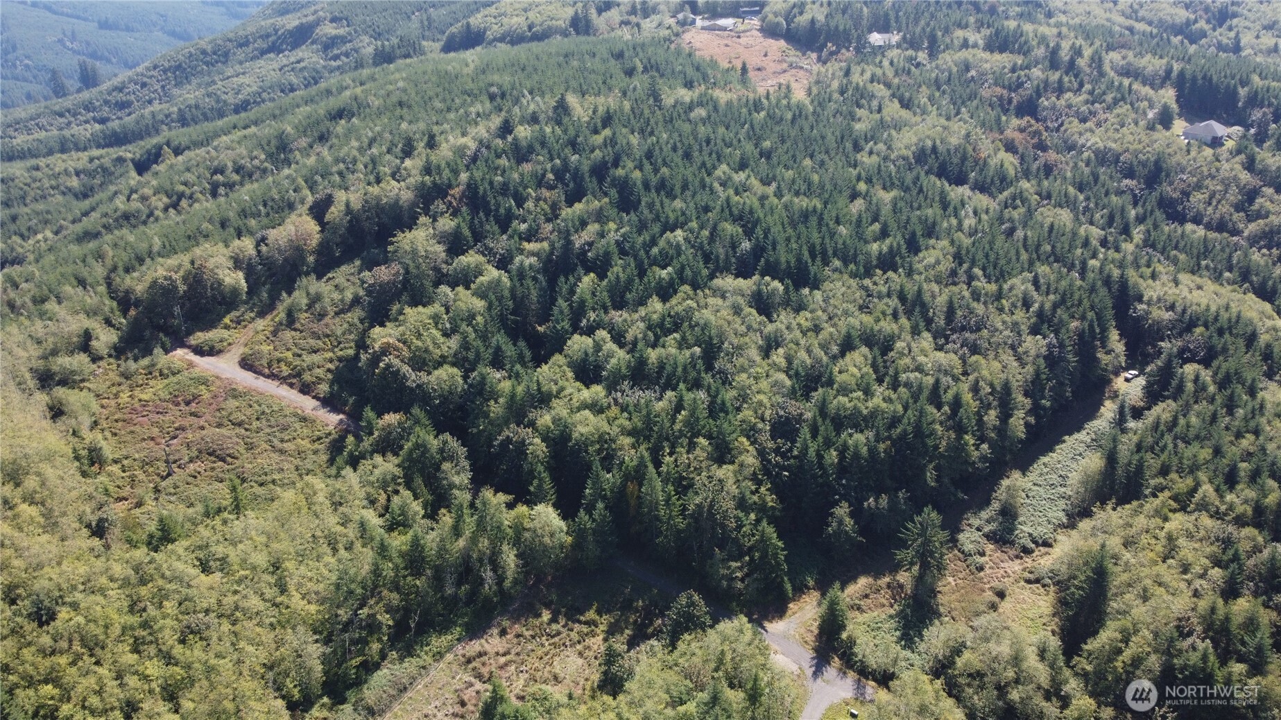 0 N Lot F Bodine Road Property Photo 11