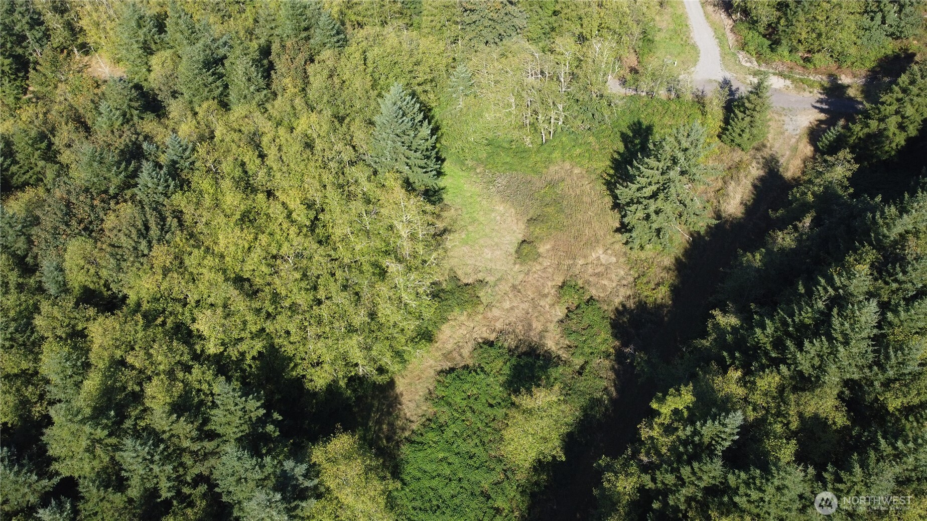 0 N Lot F Bodine Road Property Photo 13