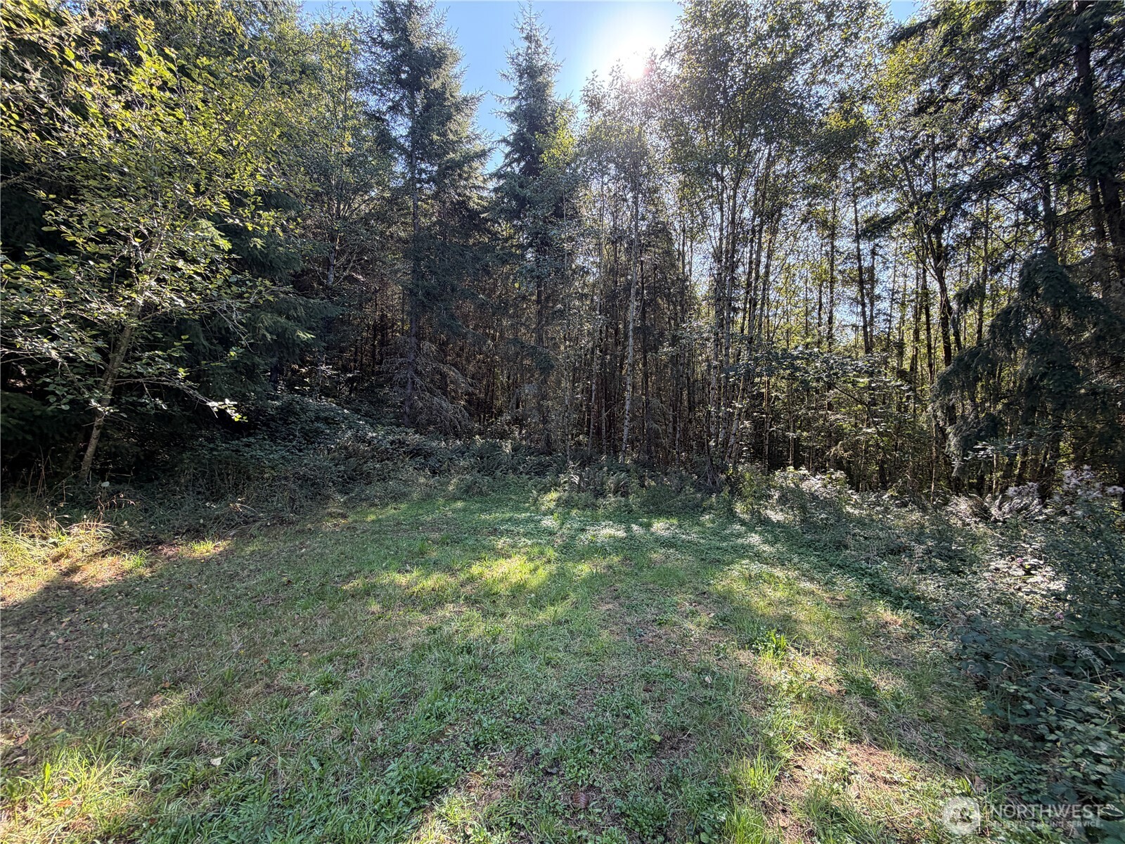 0 N Lot F Bodine Road Property Photo 15