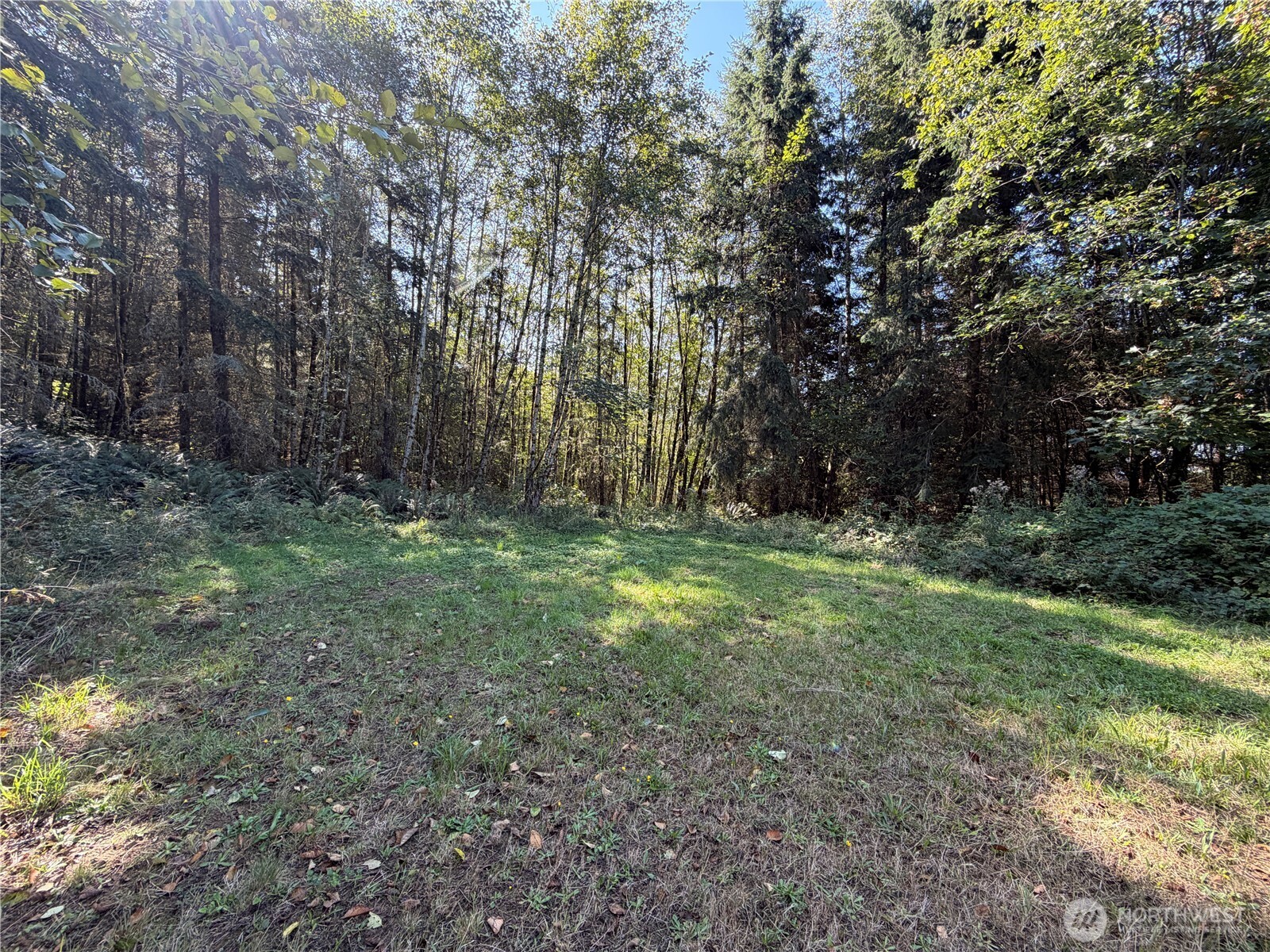 0 N Lot F Bodine Road Property Photo 16
