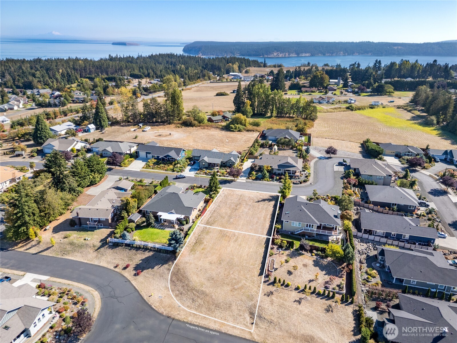 440 Morgison Loop Property Photo 8