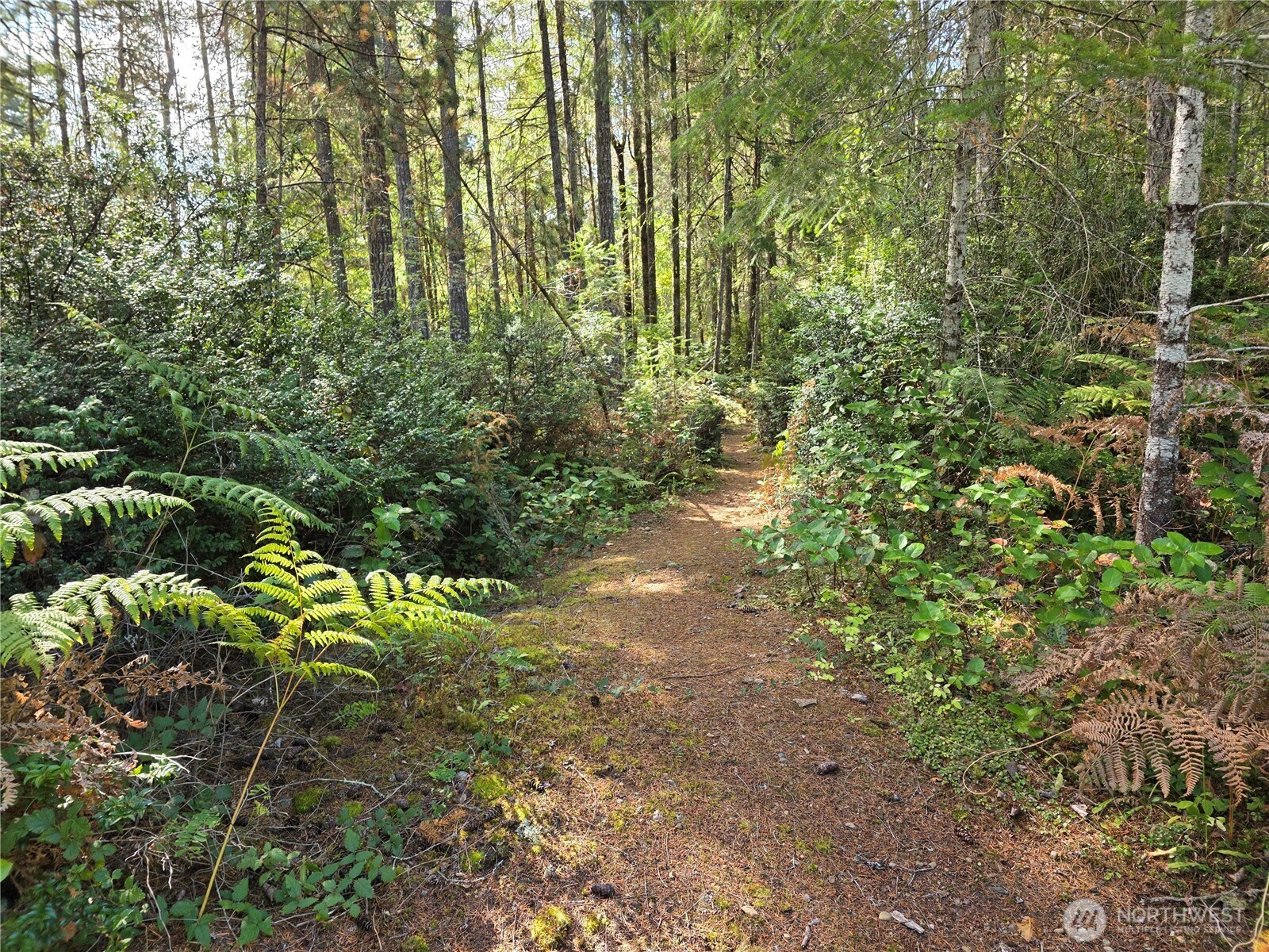 211 E Emerald Lake Dr Property Photo 13
