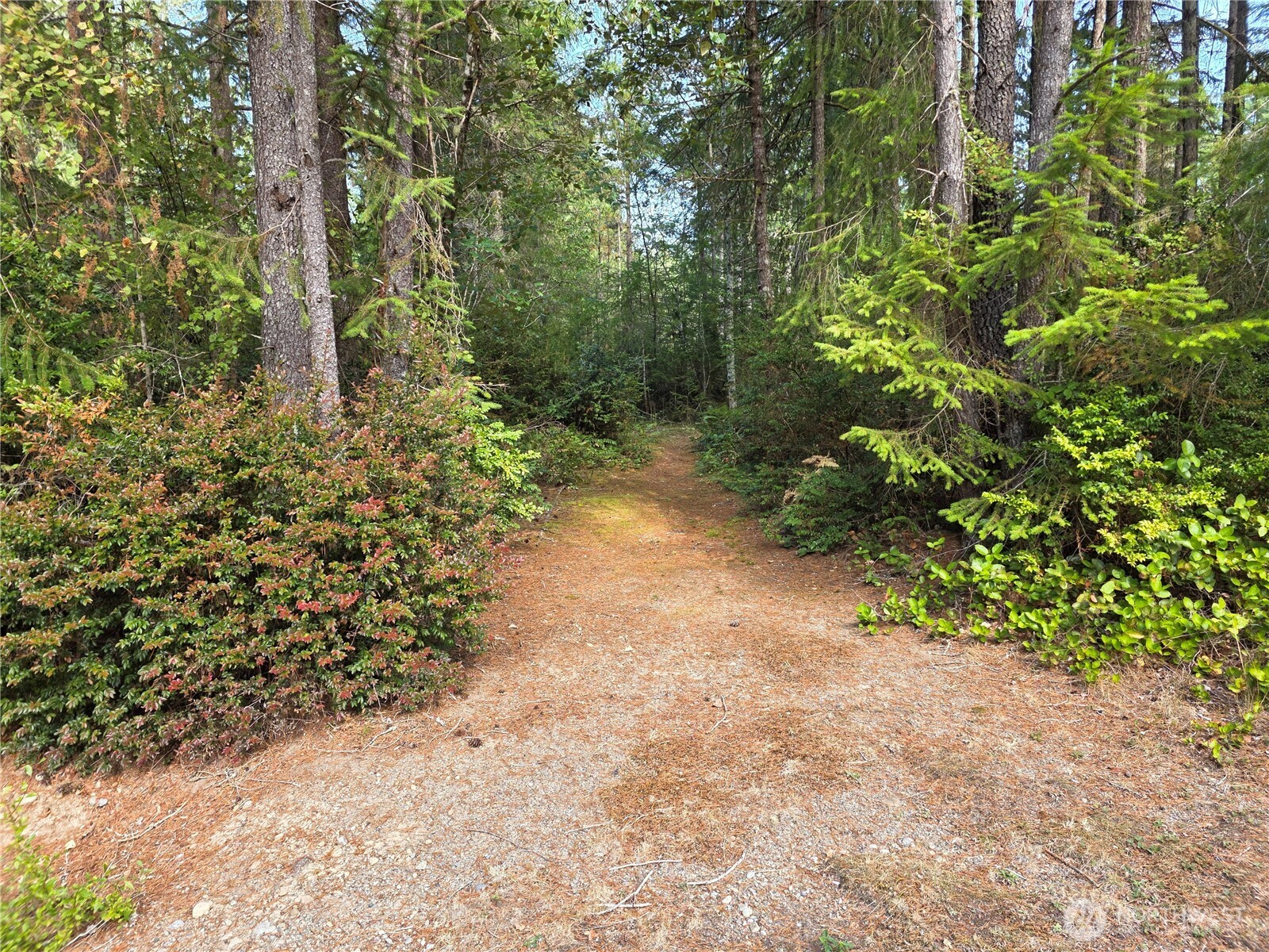211 E Emerald Lake Dr Property Photo 15
