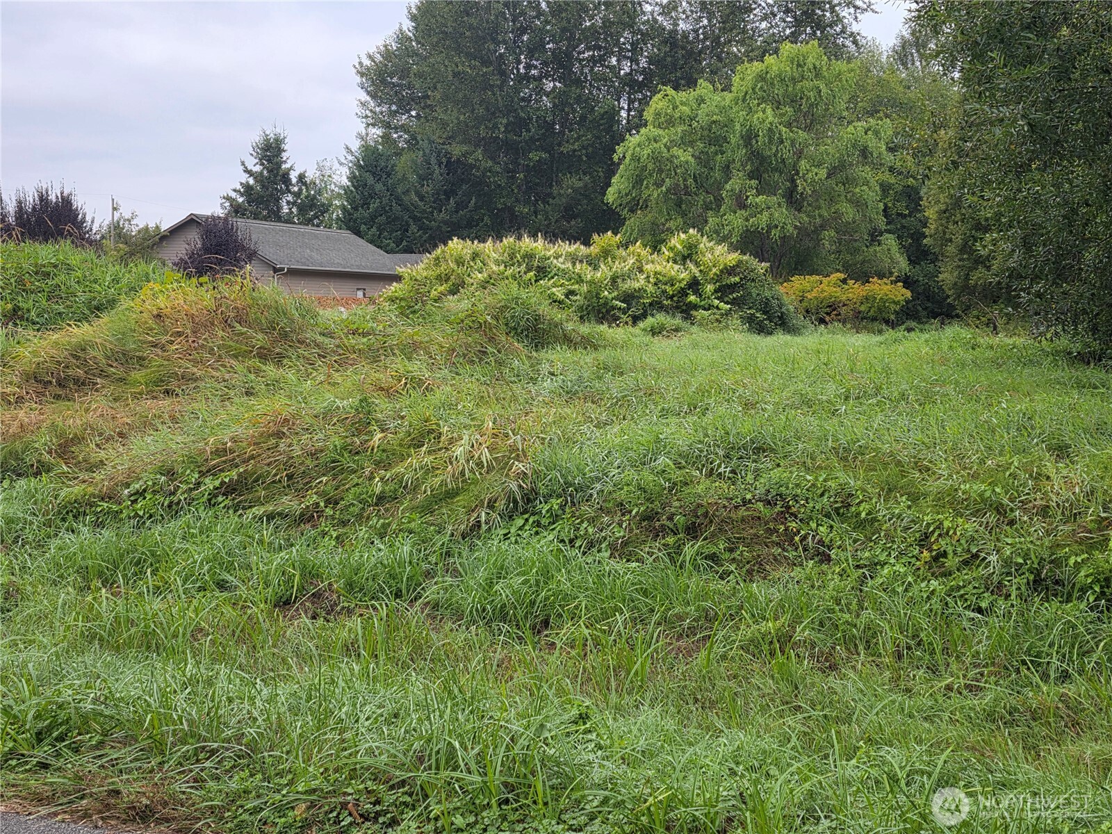 1003 12th Avenue Property Photo 3