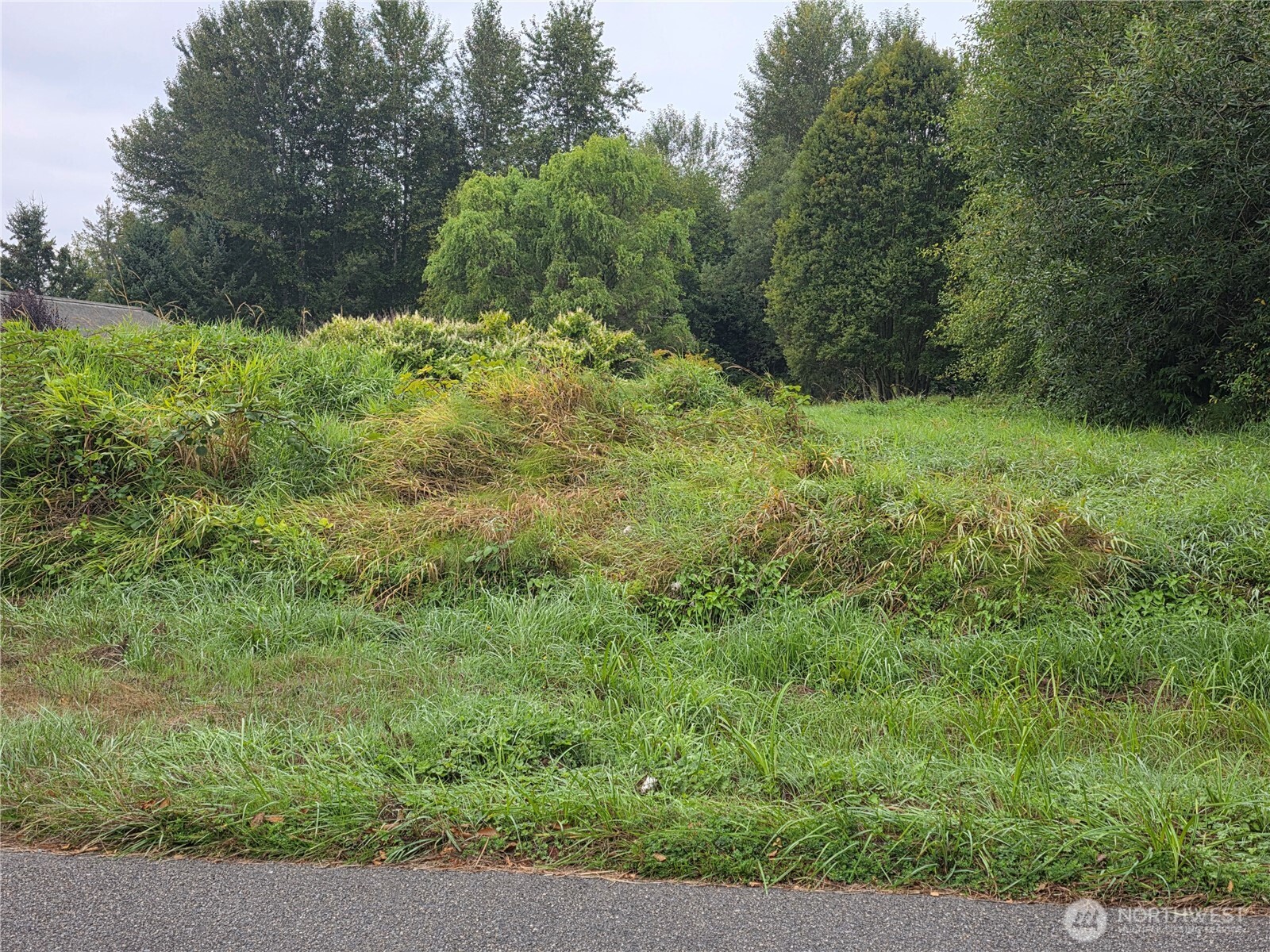 1003 12th Avenue Property Photo 4