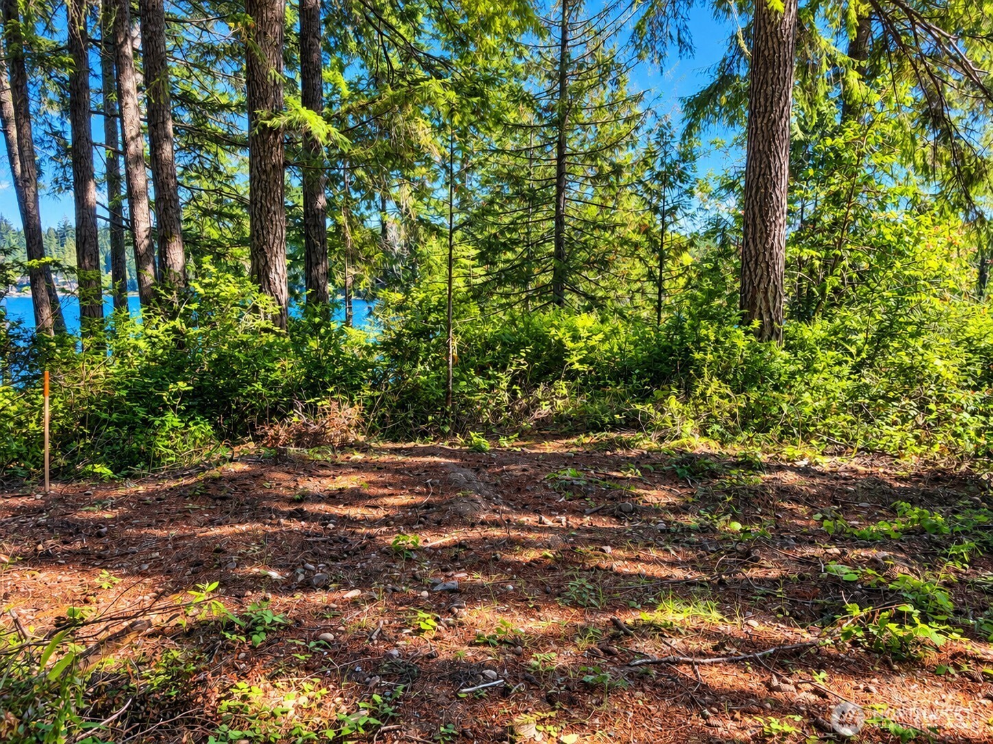 1961 E Trails End Drive Property Photo 9