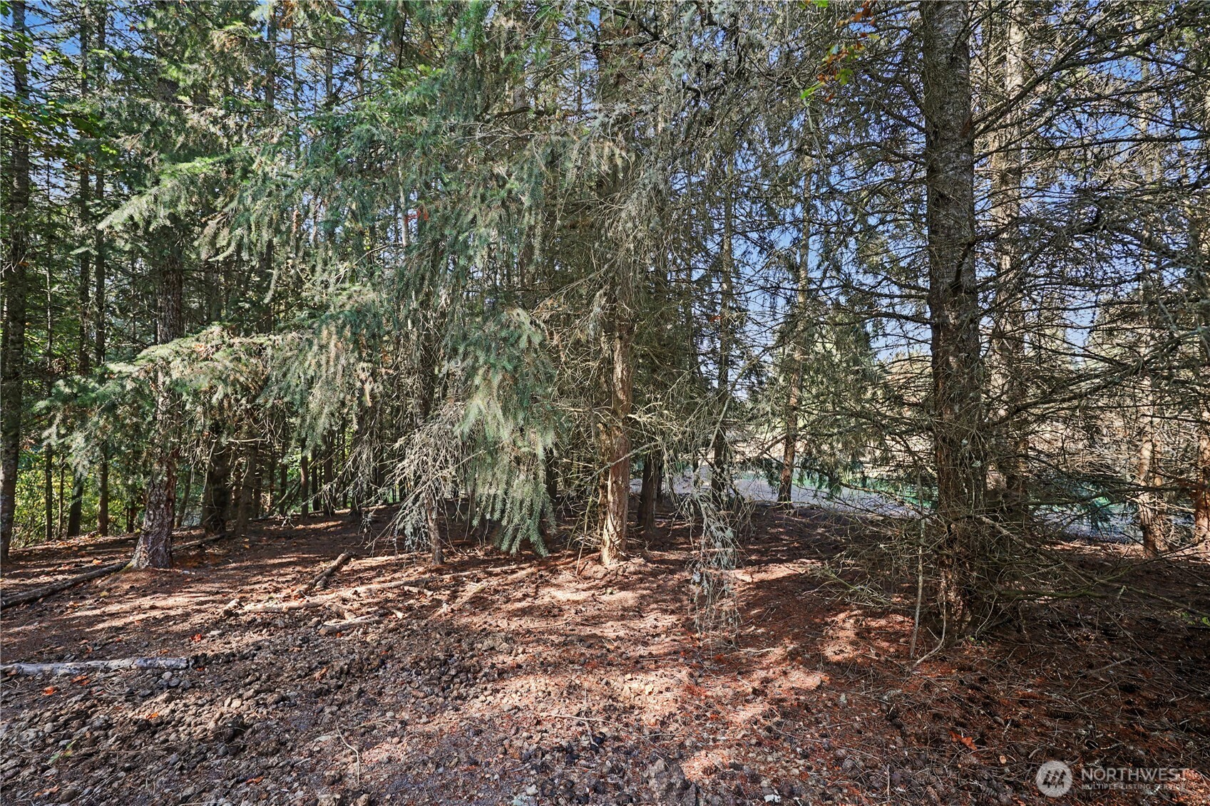 96 Montihill Lane Property Photo 8