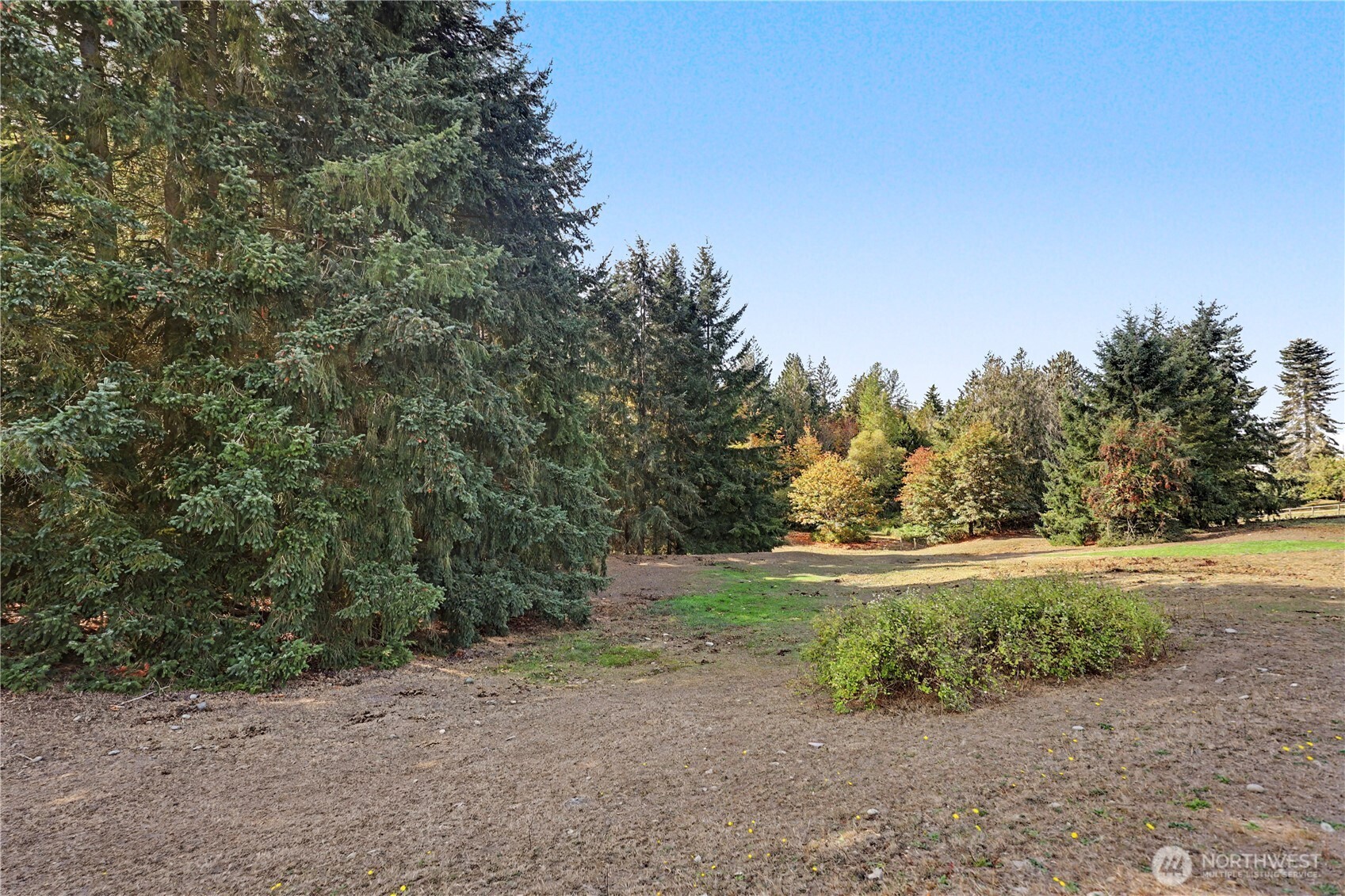 96 Montihill Lane Property Photo 11