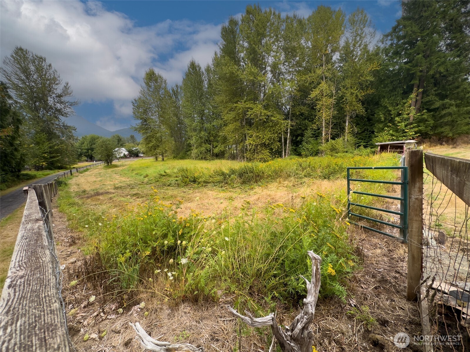 113 Skinner Road Property Photo 23