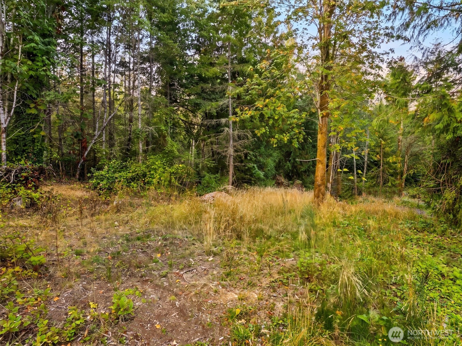 14245 Pita Lane B Property Photo 9