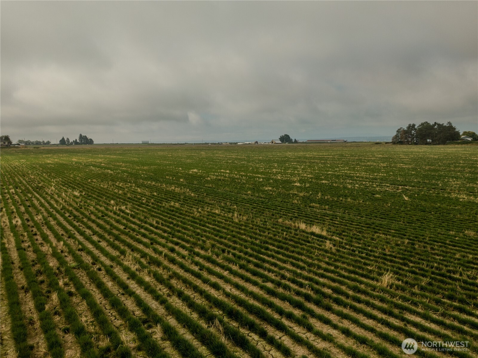 0 Leque Road Property Photo 8