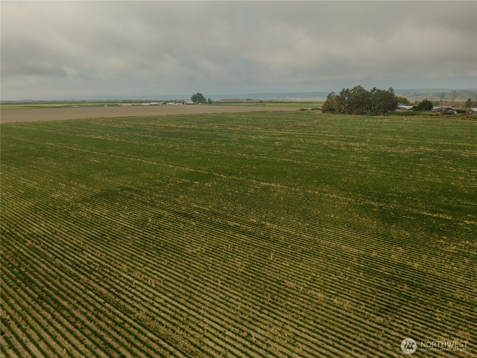 0 Leque Road Property Photo 10