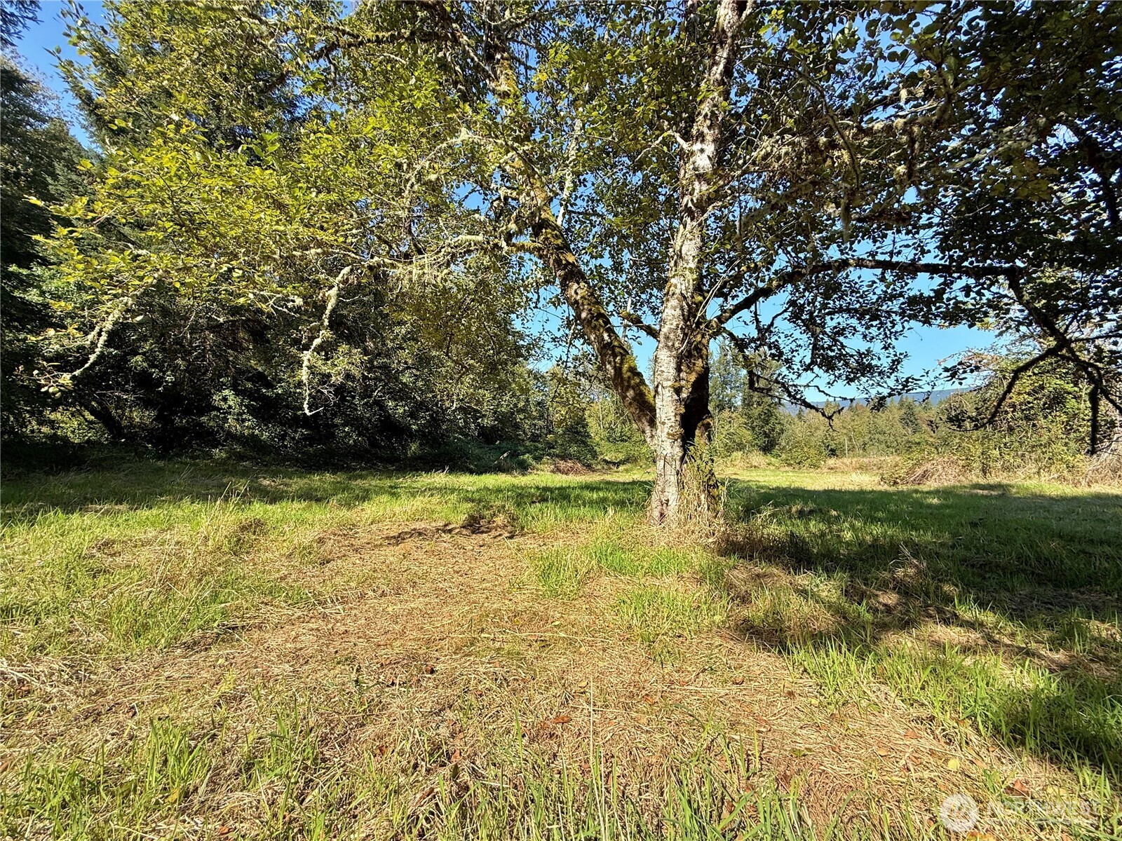 451 Green Mountain Road Property Photo 21
